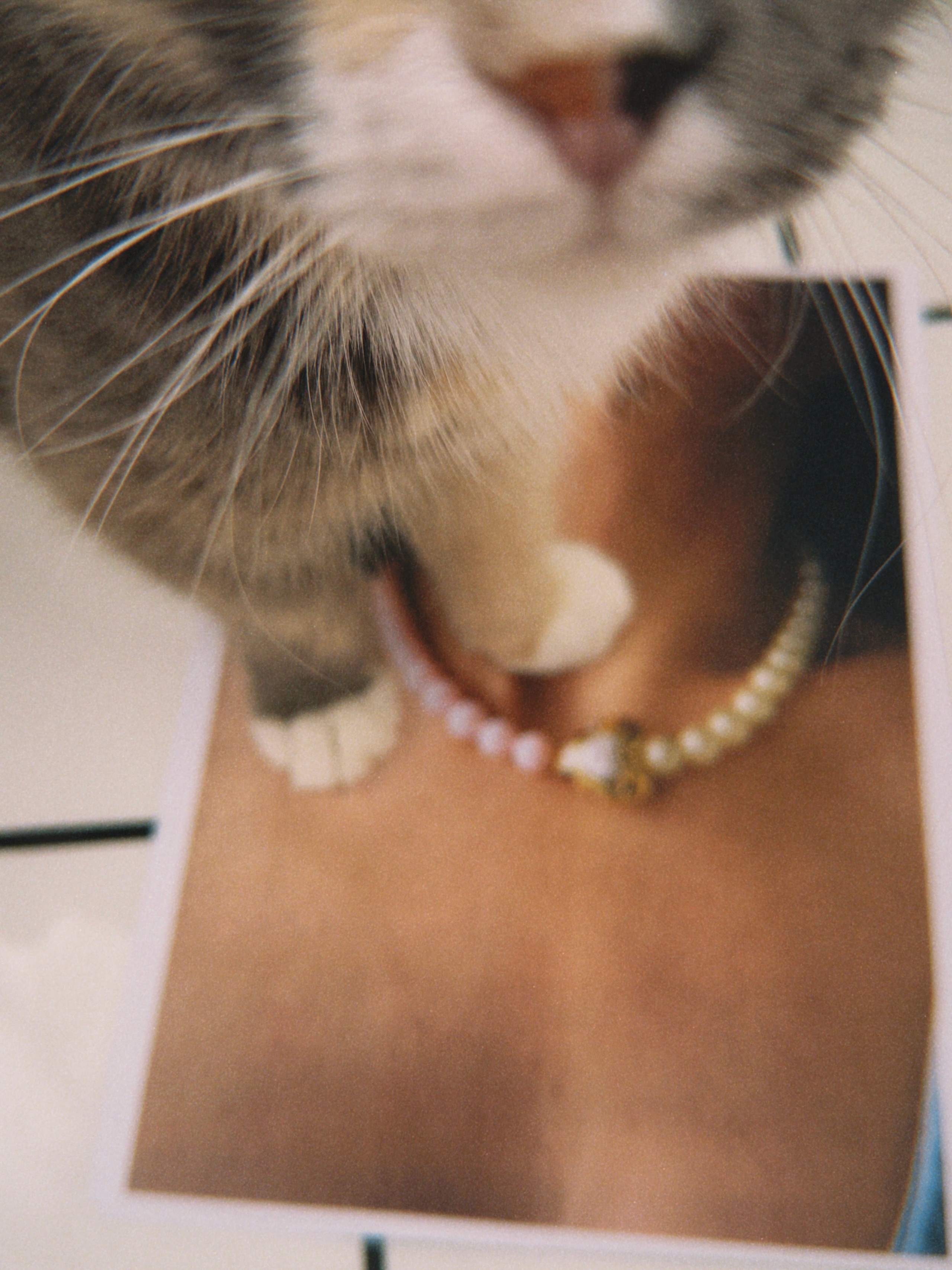 Предметная съёмка. Чувственный мобильный фотограф в Казани и Сочи Дьяченко Дарья