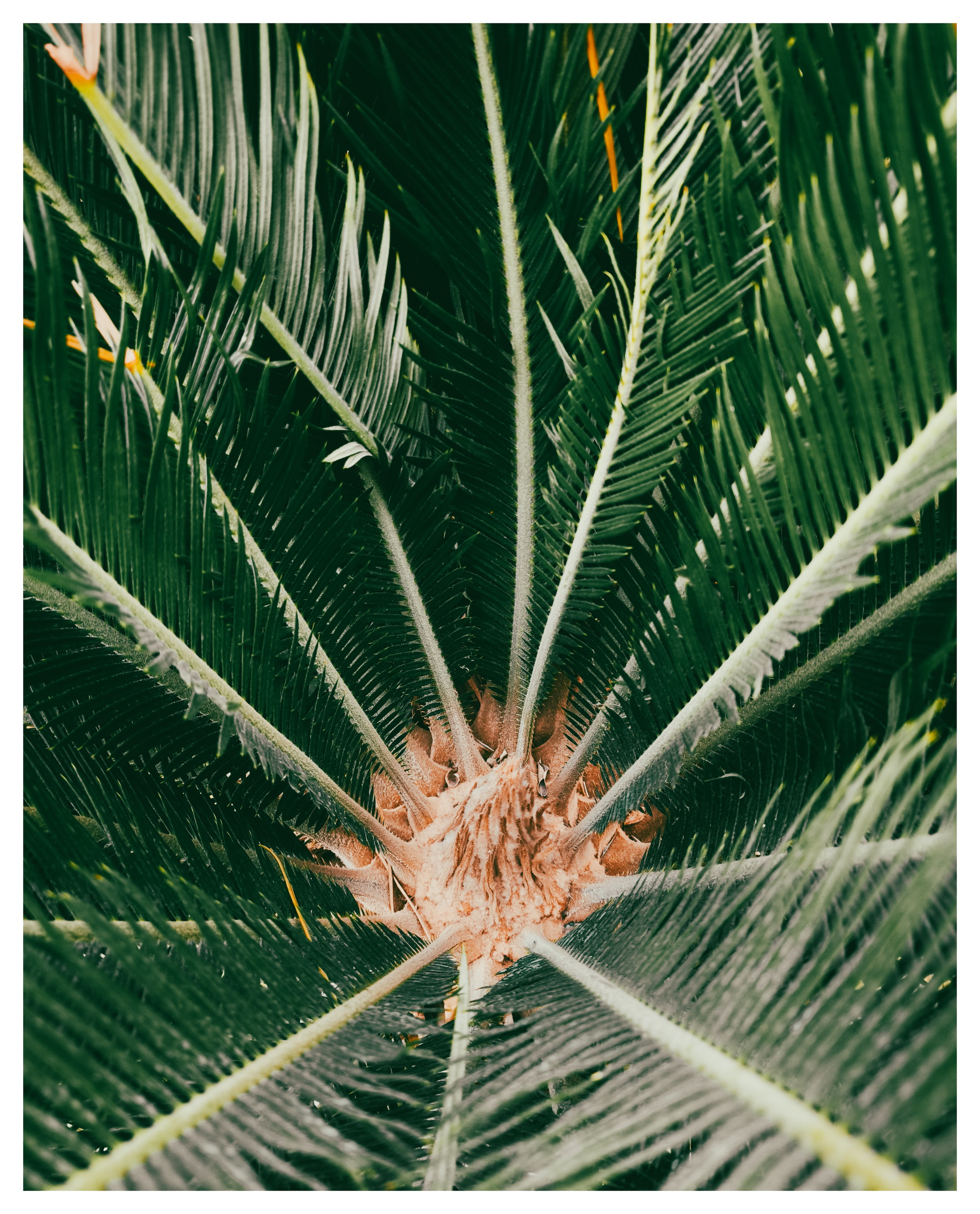 Мир повседневных Вещей. Репортажный и портретный фотограф, Влад Хафизов, Москва