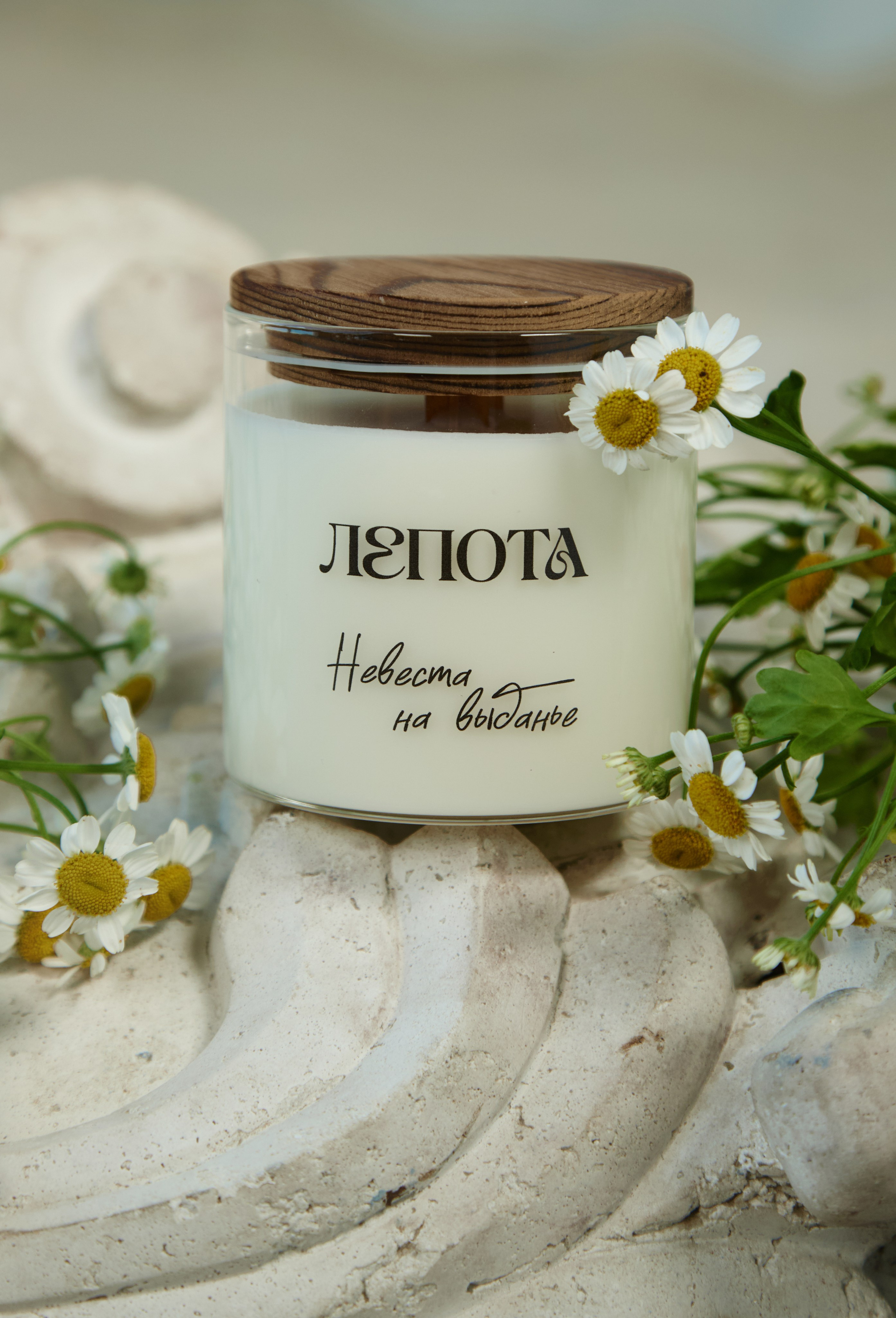 LEPOTA. Smirnova Liza