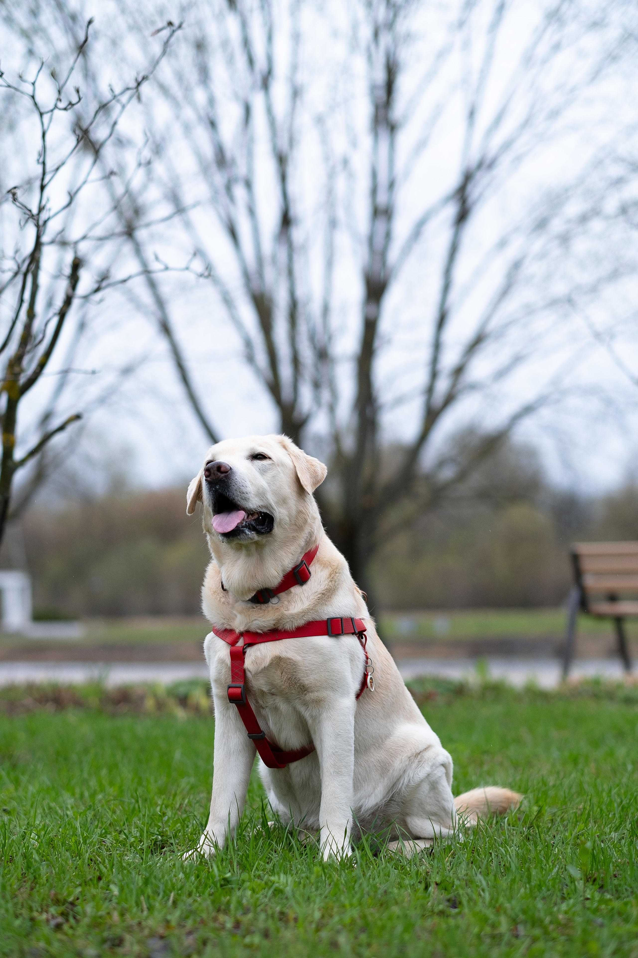 Света и Лето. Фотограф и видеограф анималист Аганина Дарья