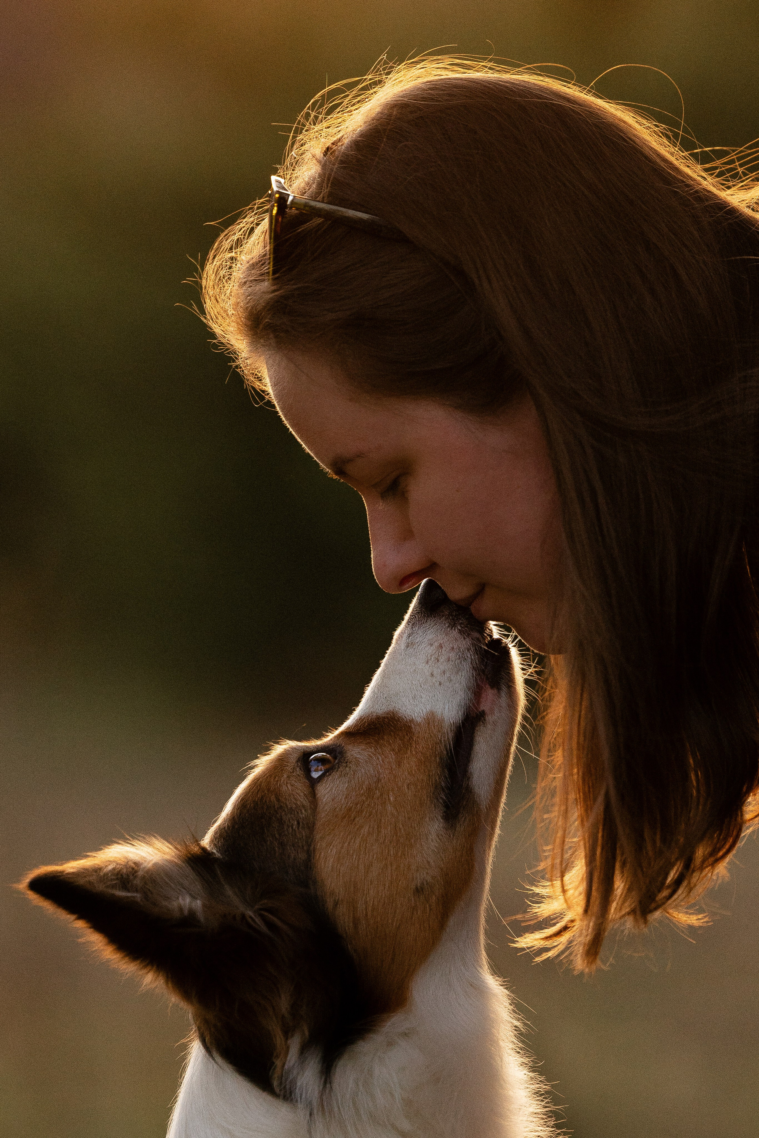 Разношерстная компания. Фотограф и видеограф анималист Аганина Дарья
