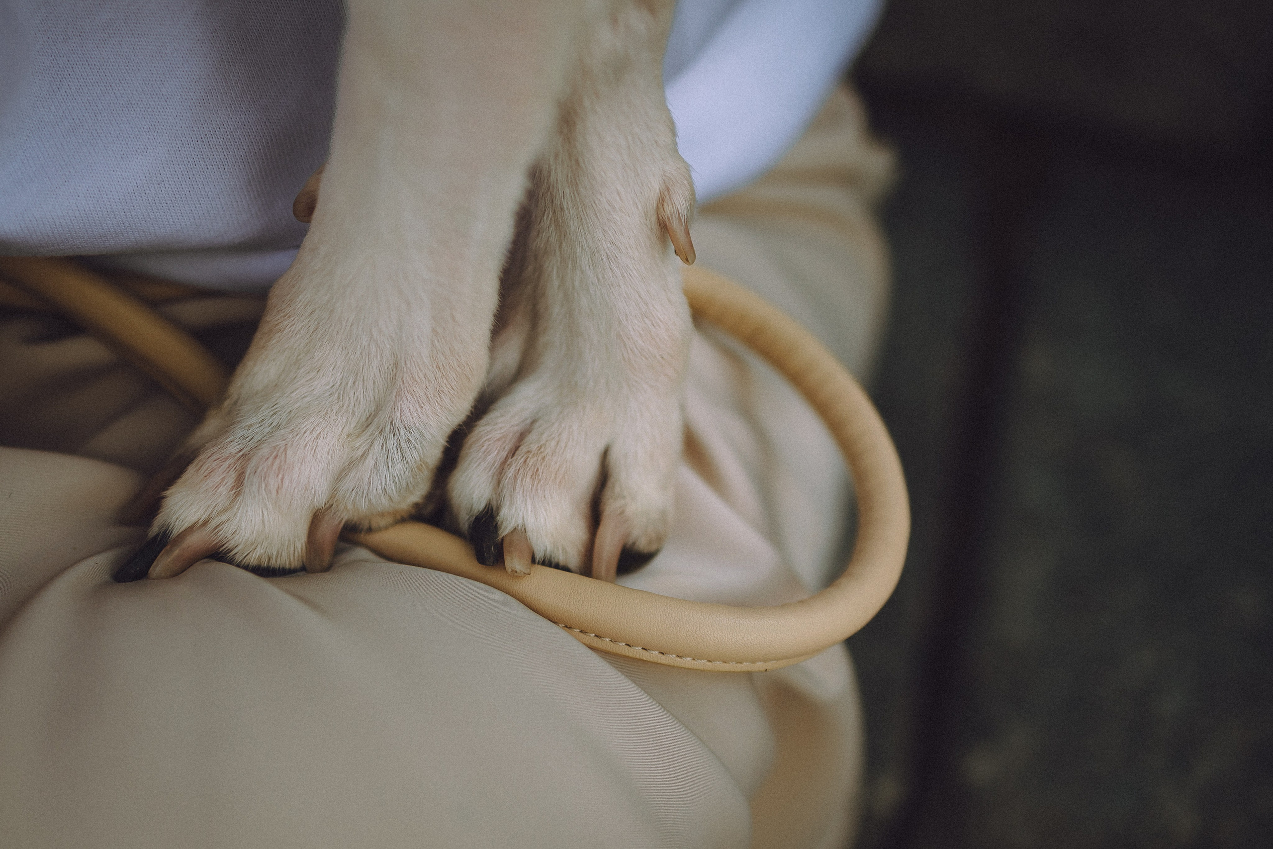 Ирина, Илья и Рик