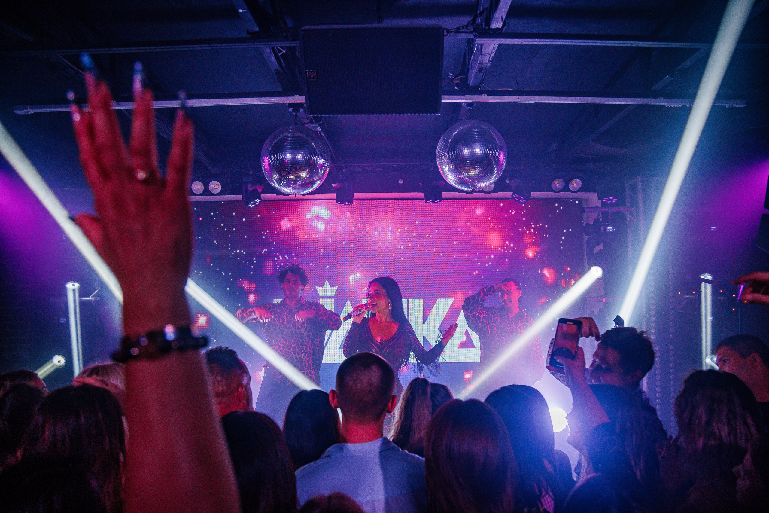 «Бьянка"_Чайка на пляже_Ялта_25.07.2025 г. Аминов Руслан | Фотограф