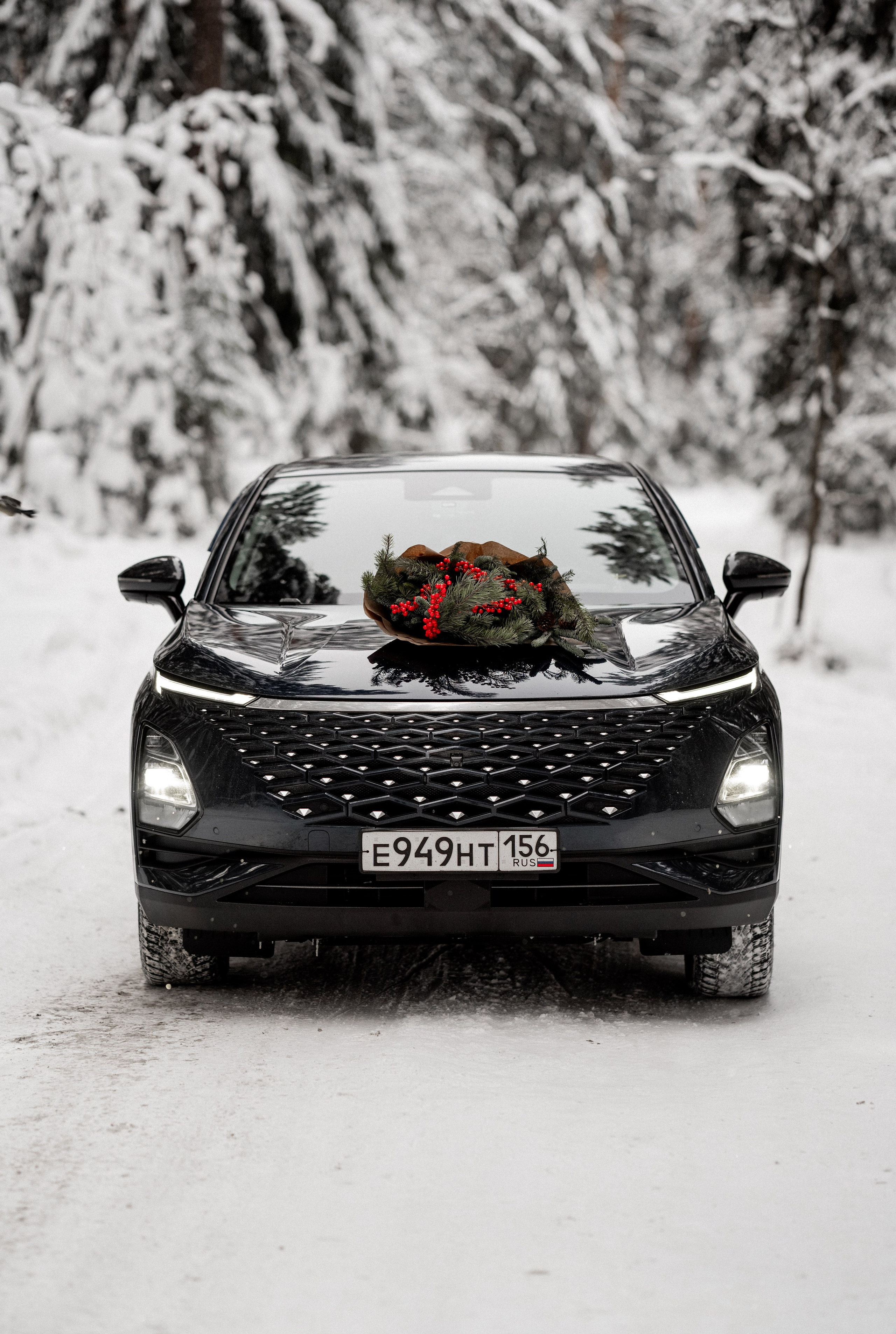 A & T. Фотограф Санкт-Петербург/Гомель Виктория Петрова