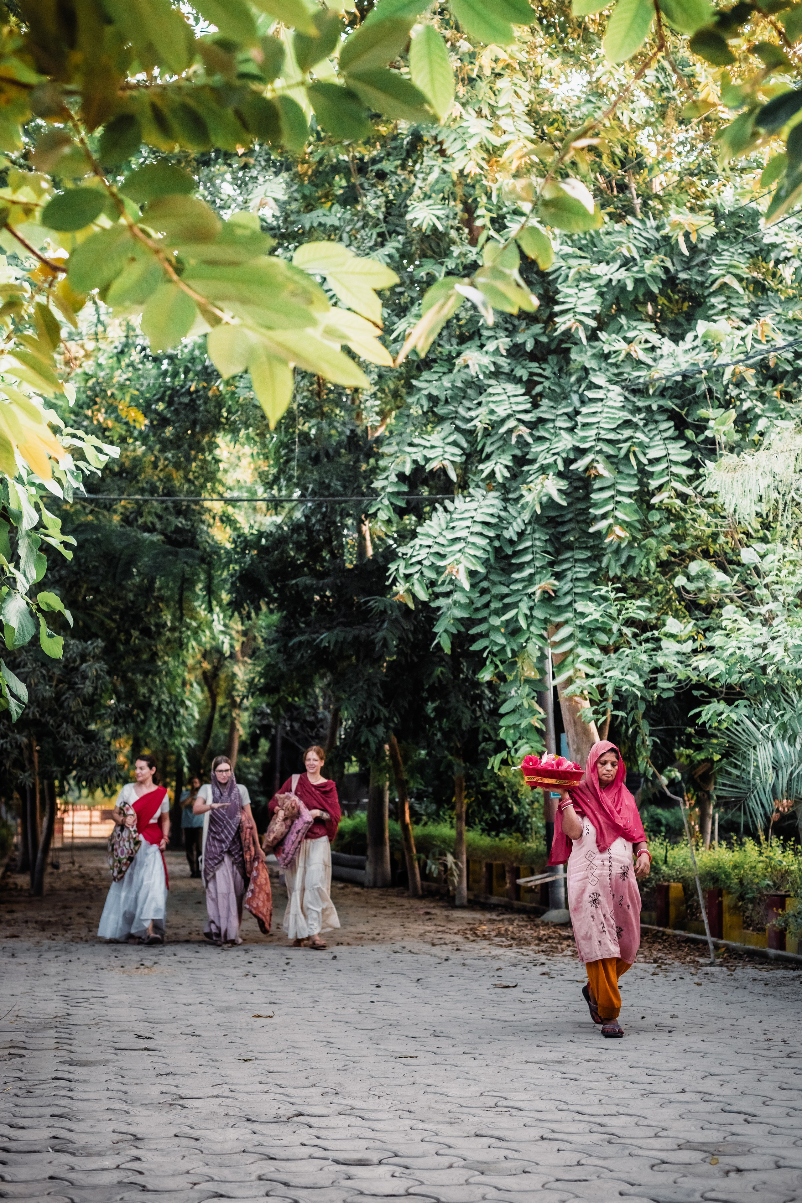 Devraha baba ji ashram life 2025. Mariam Bagdasaryan