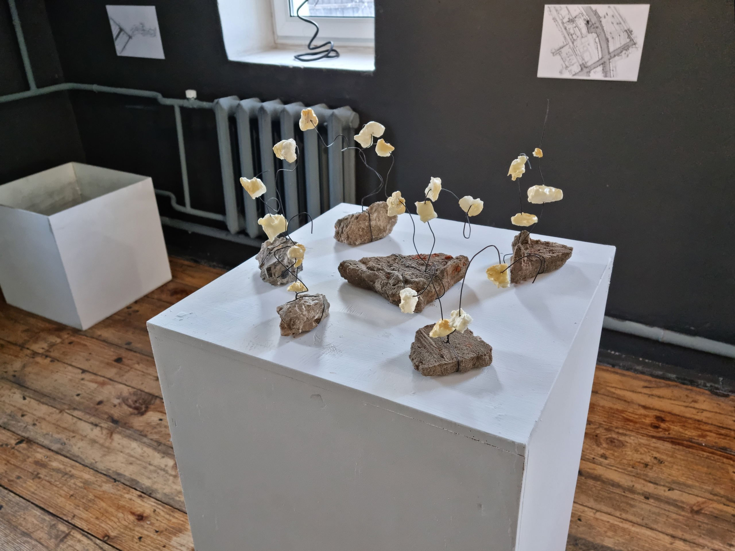 Сакральный инспиратор. Ангелина Богданова, междисциплинарная художница