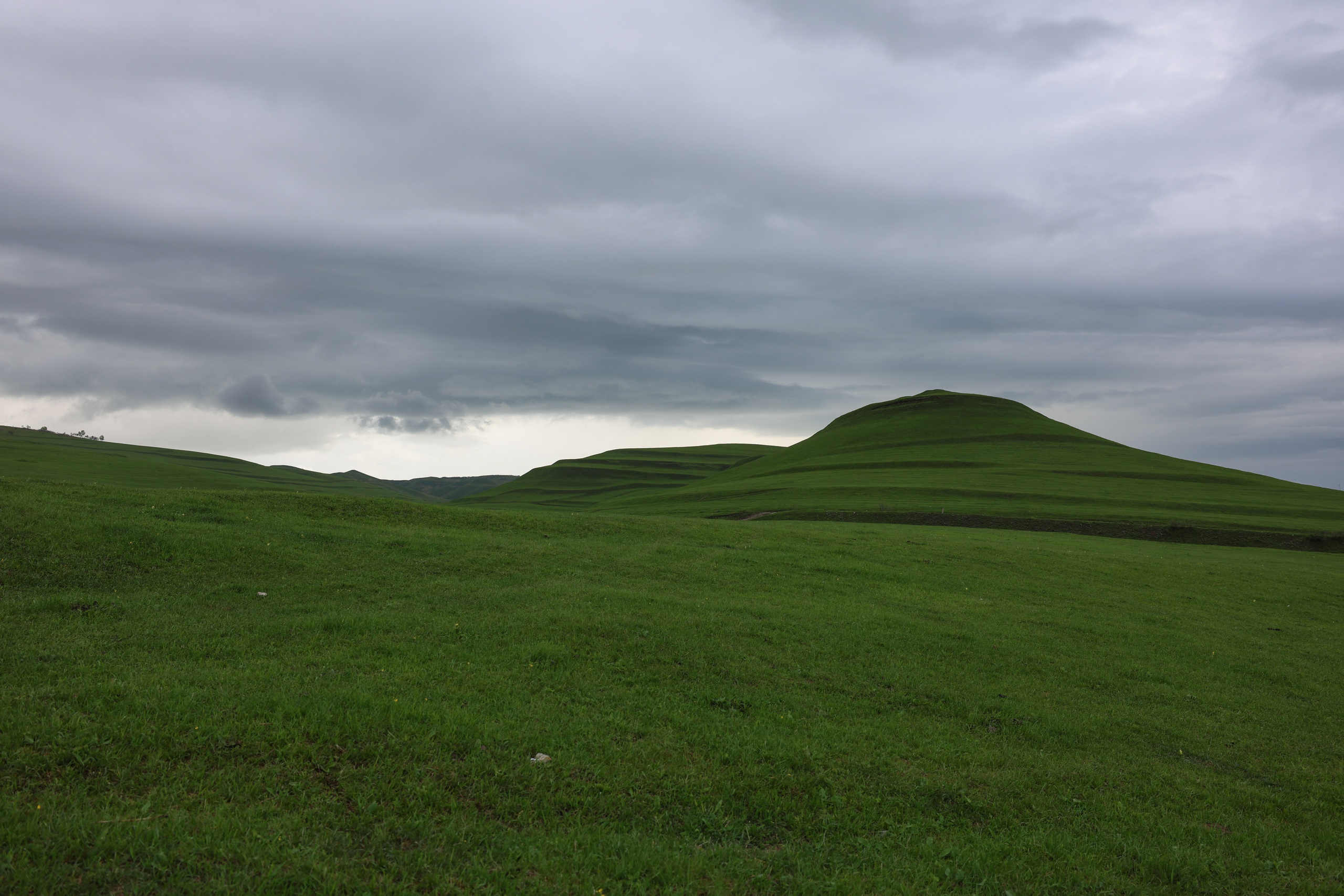 Фотограф Мария Алексеева. Мария Алексеева. Фотограф в Москве