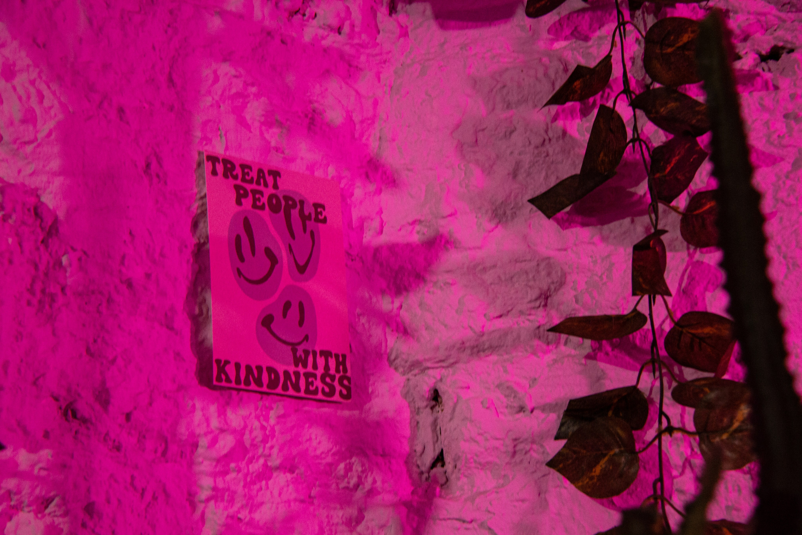 Кофейня Катартика, открытие выставки «Мистика» 3.10.2024. Janie valde | visual artist