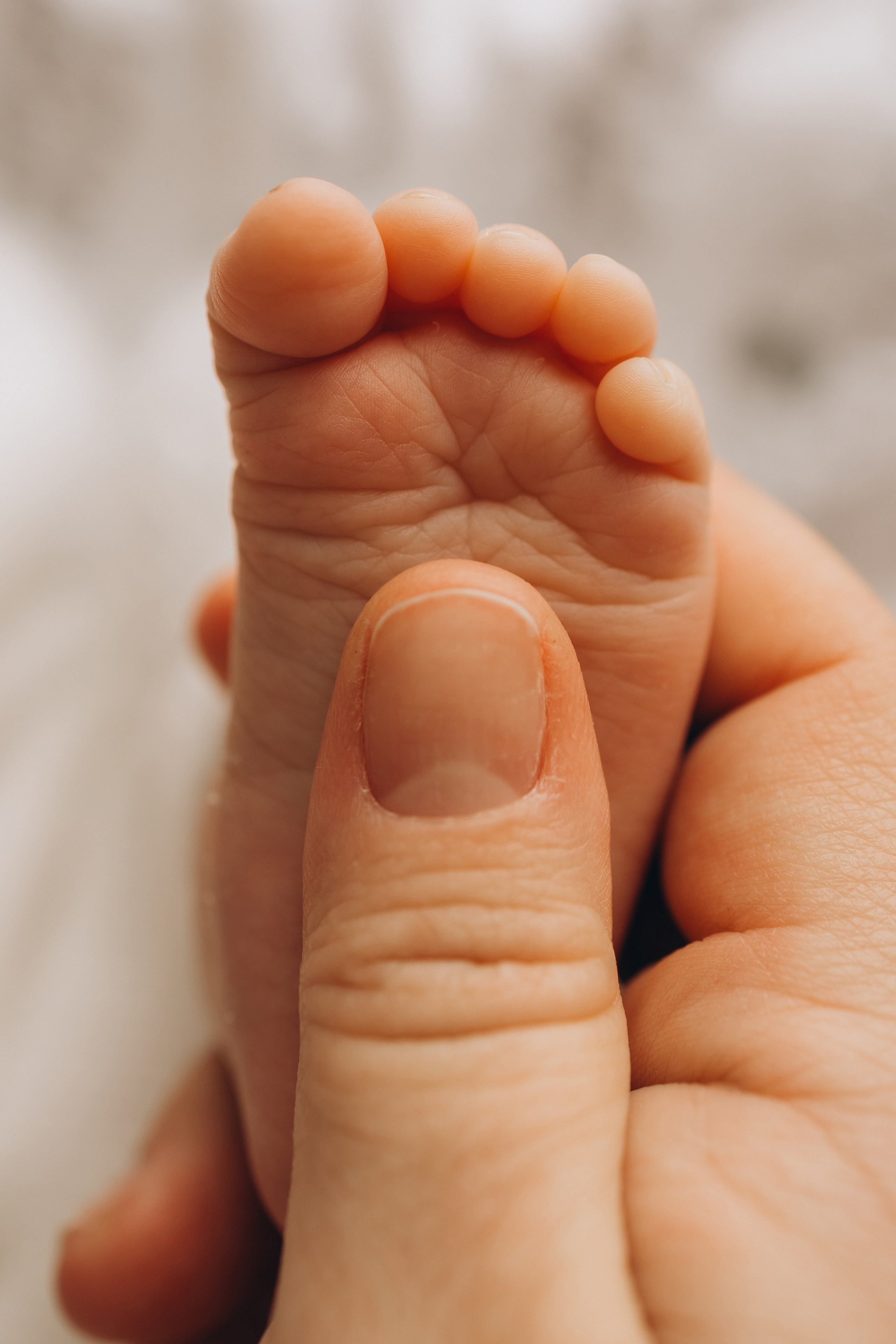 Вера 11 дней. Фотограф новорождённых Newborn Москва