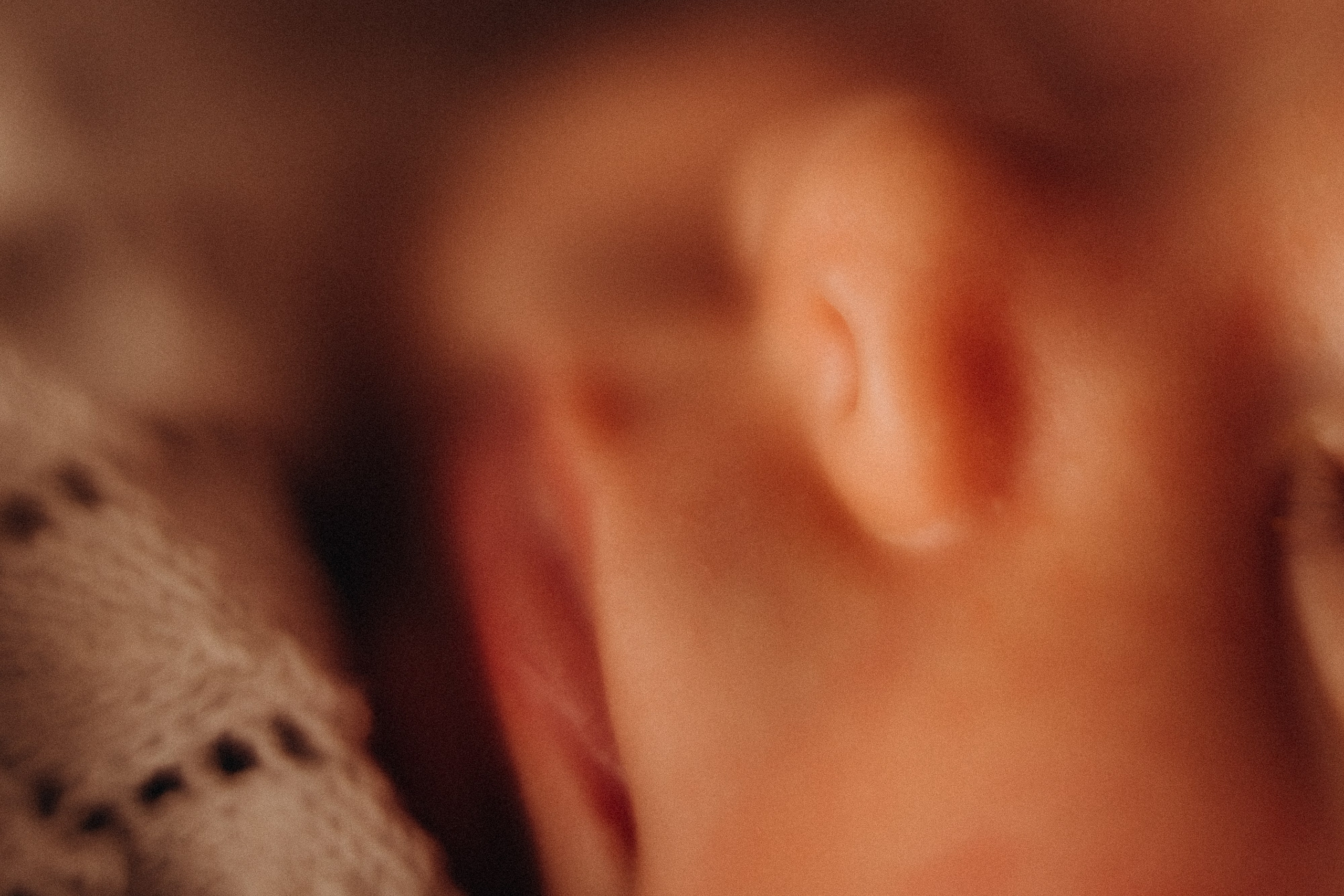 Танечка. Евгения Пелипас