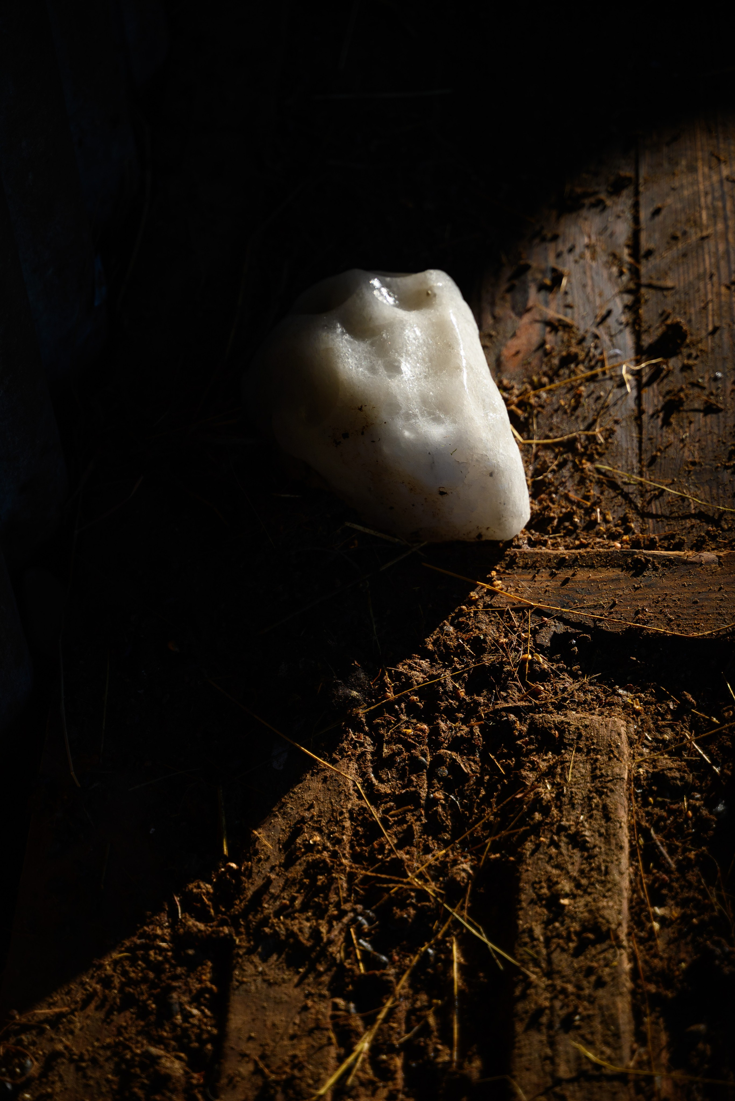 Увидеть свет. Фотограф Антон Денисенко: Портрет, Документалистика, Пейзаж. Москва