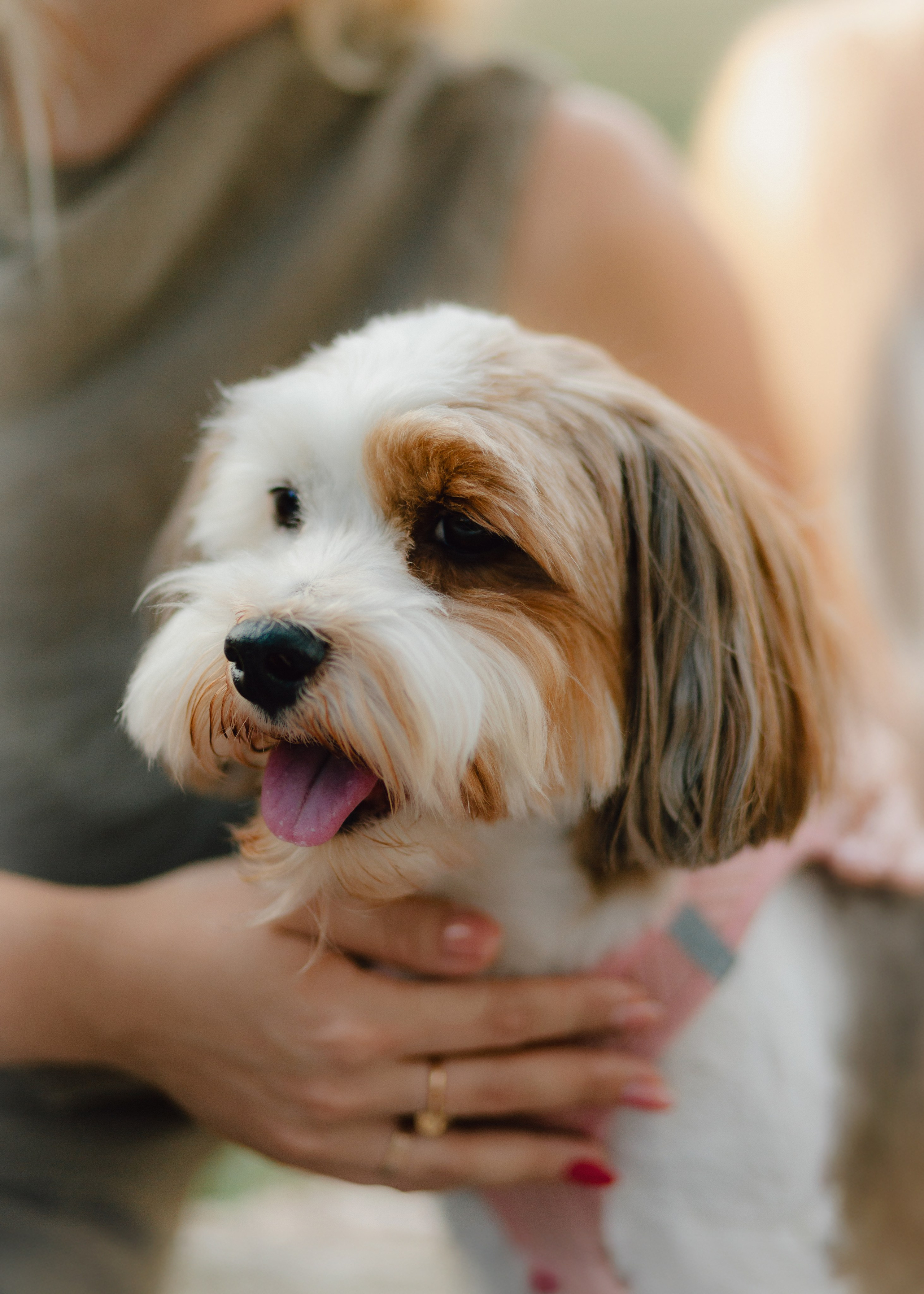 J&J Family. Barbara Isaeva