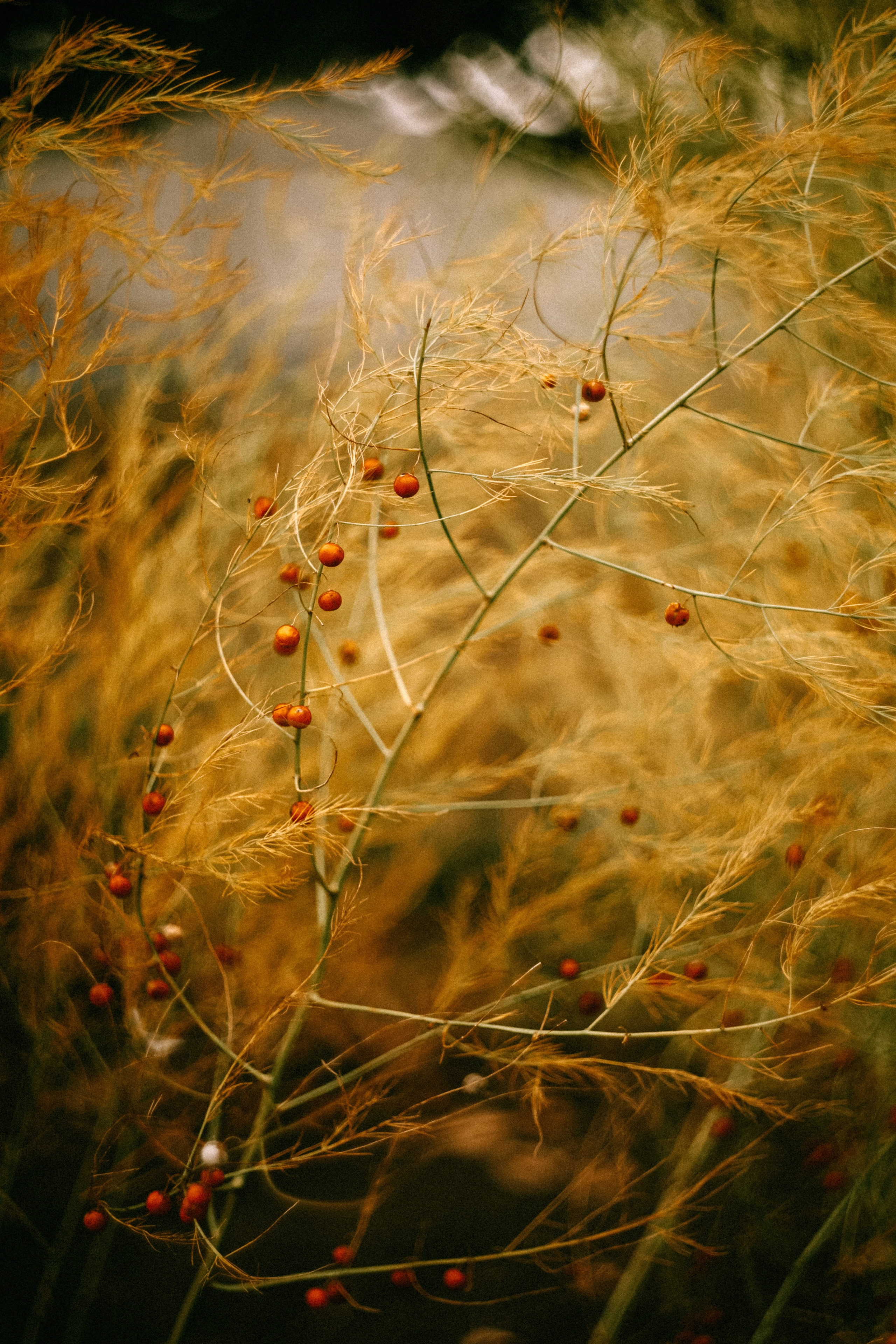 Пикториальный альбом. Семейный LIFESTYLE фотограф в Москве
