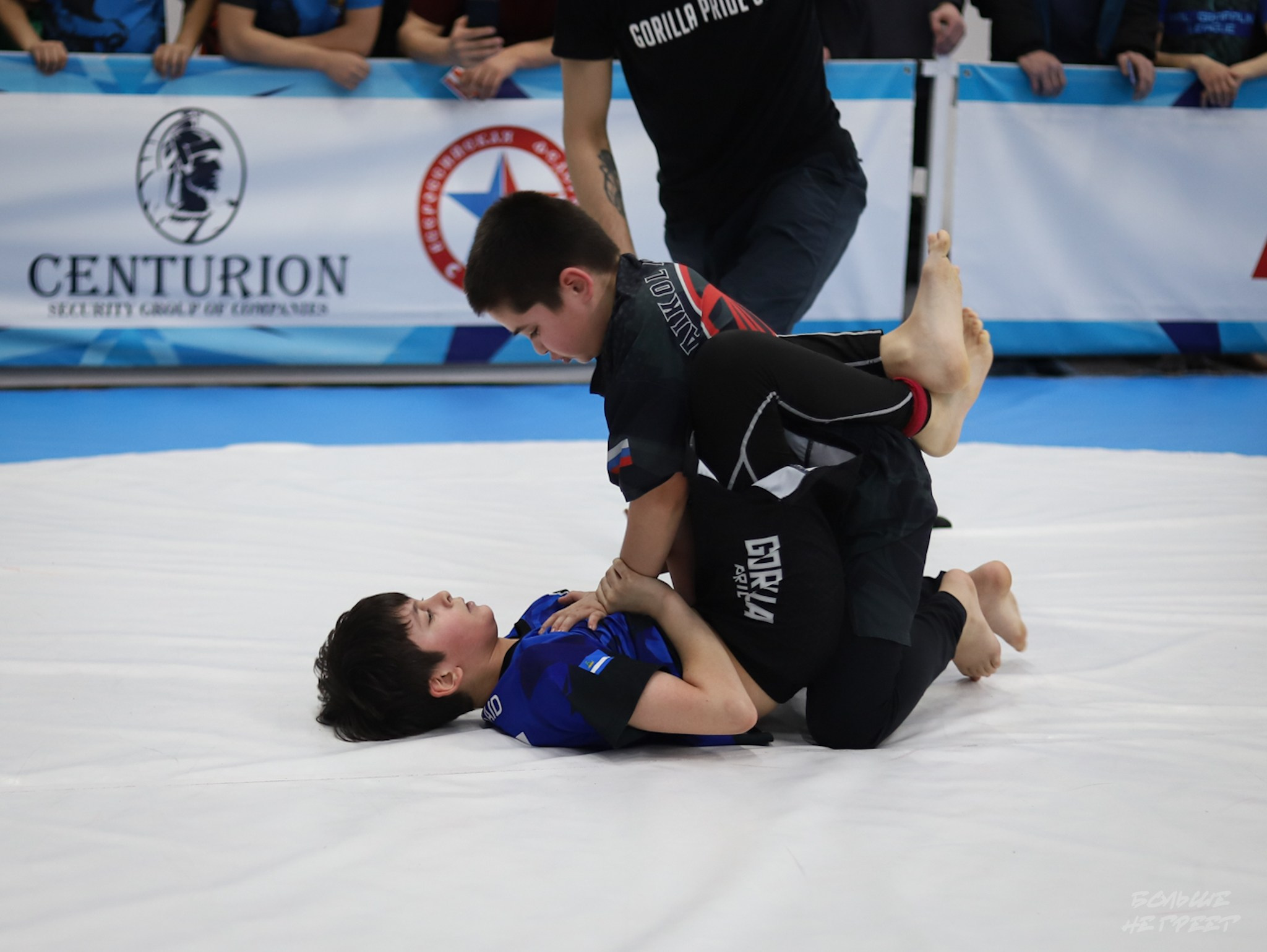 GORILLA PRIDE CUP. Больше не греет