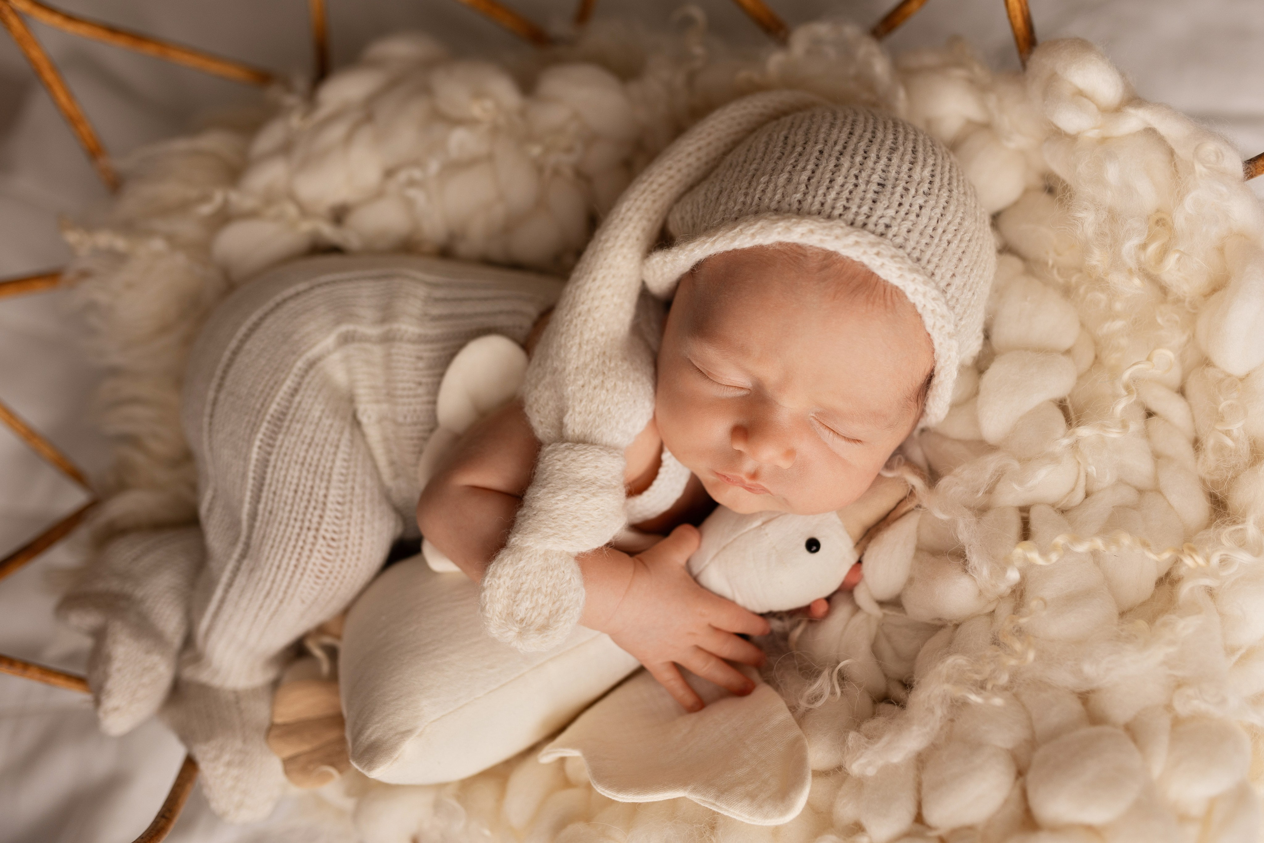 Лев. Лилия Алтухова — фотограф новорожденных в Москве и области