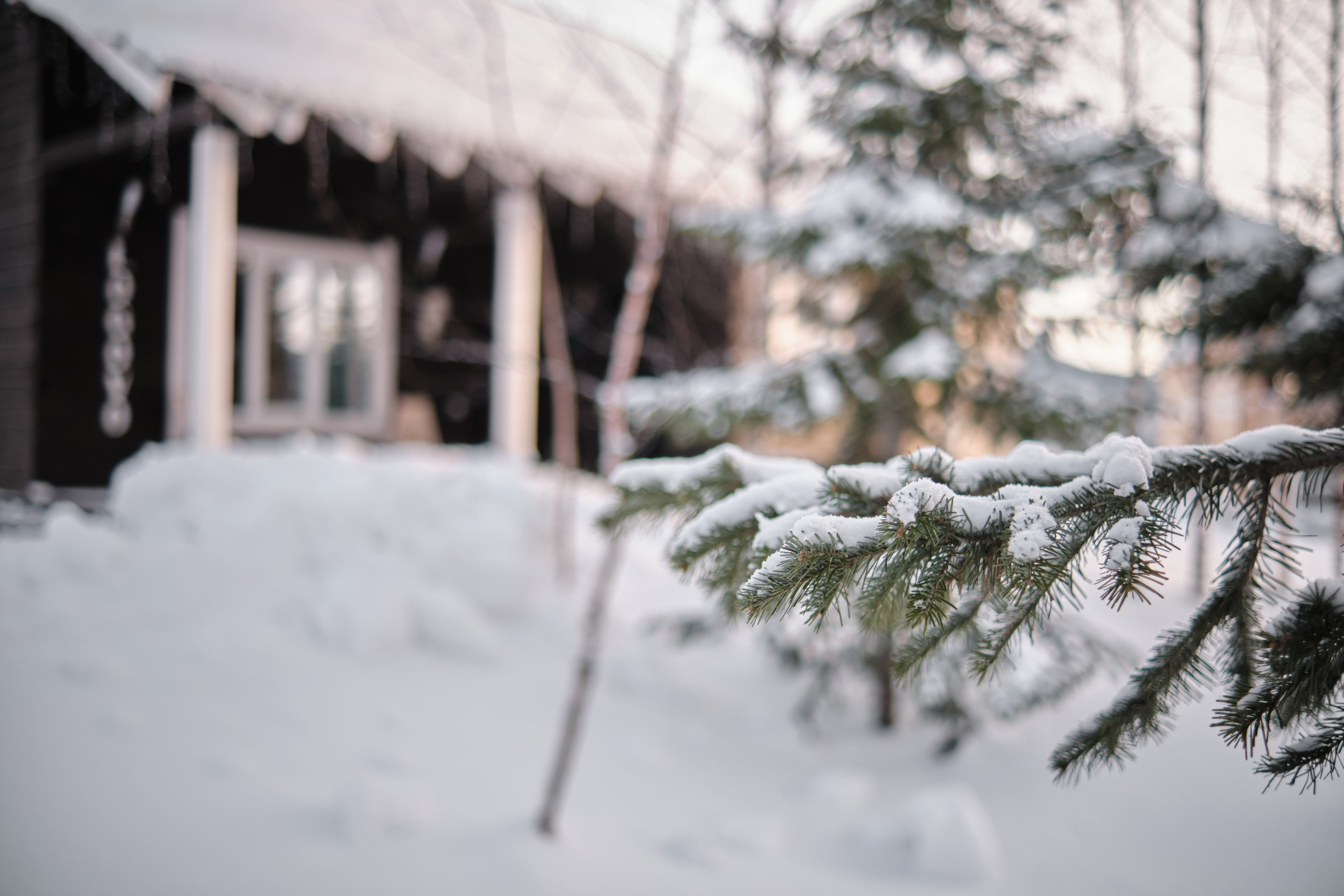 Рябиновая 126. Свадебный и семейный фотограф в Новокузнецке Иван Иванов