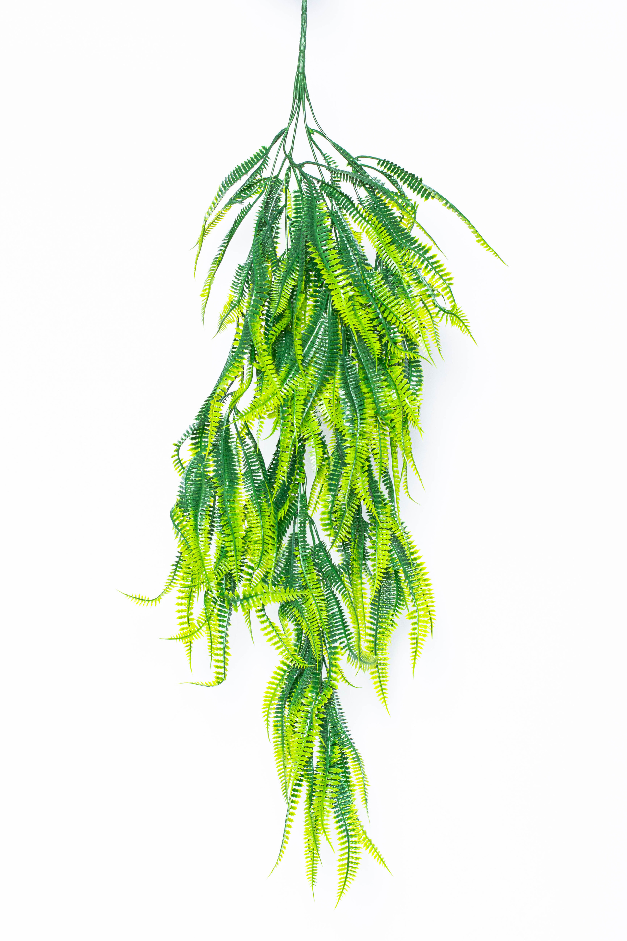 Растения и сад. Фотограф Челябинск Эвелина Ганага, съемка для бизнеса и маркетплейсов