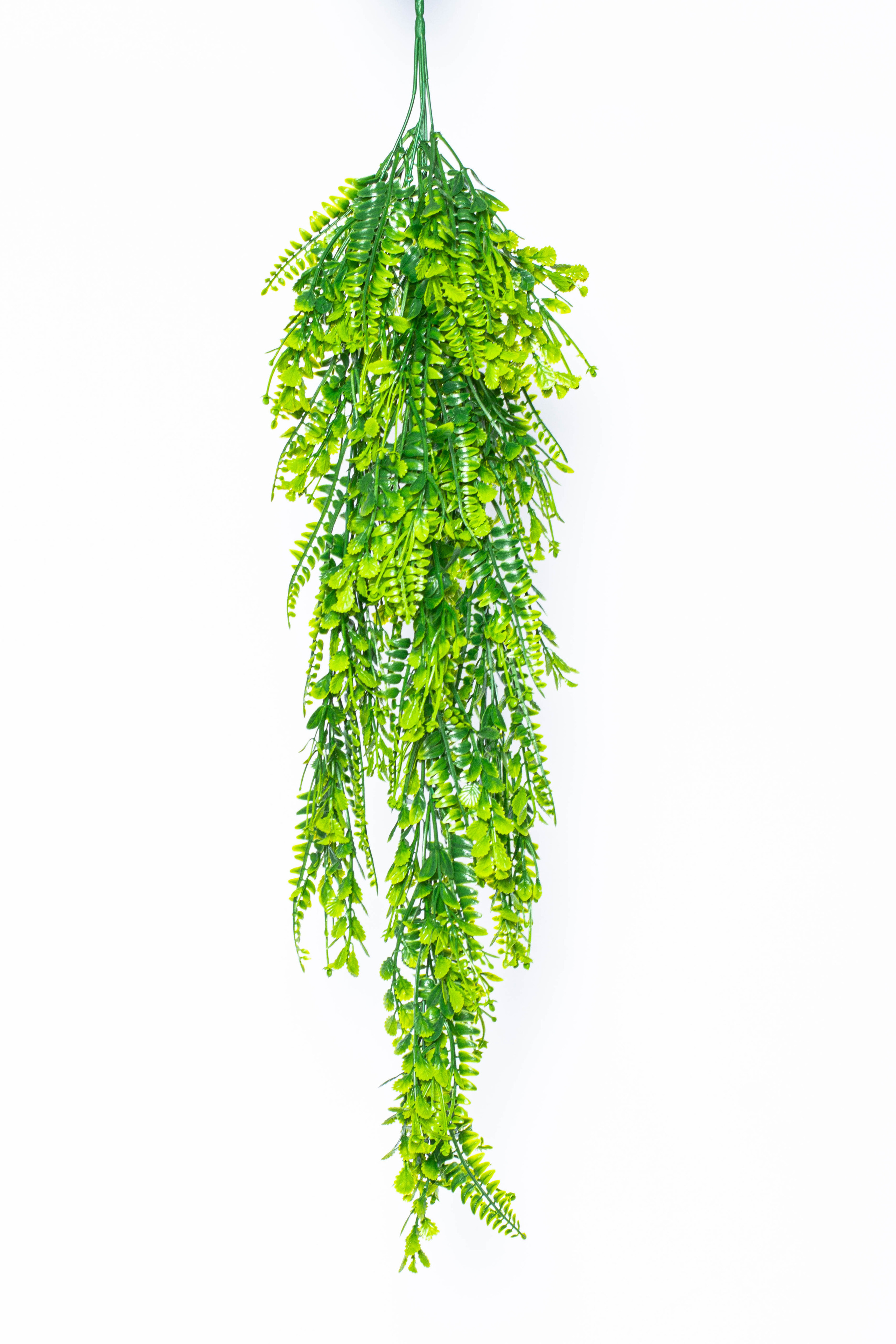 Растения и сад. Фотограф Челябинск Эвелина Ганага, съемка для бизнеса и маркетплейсов