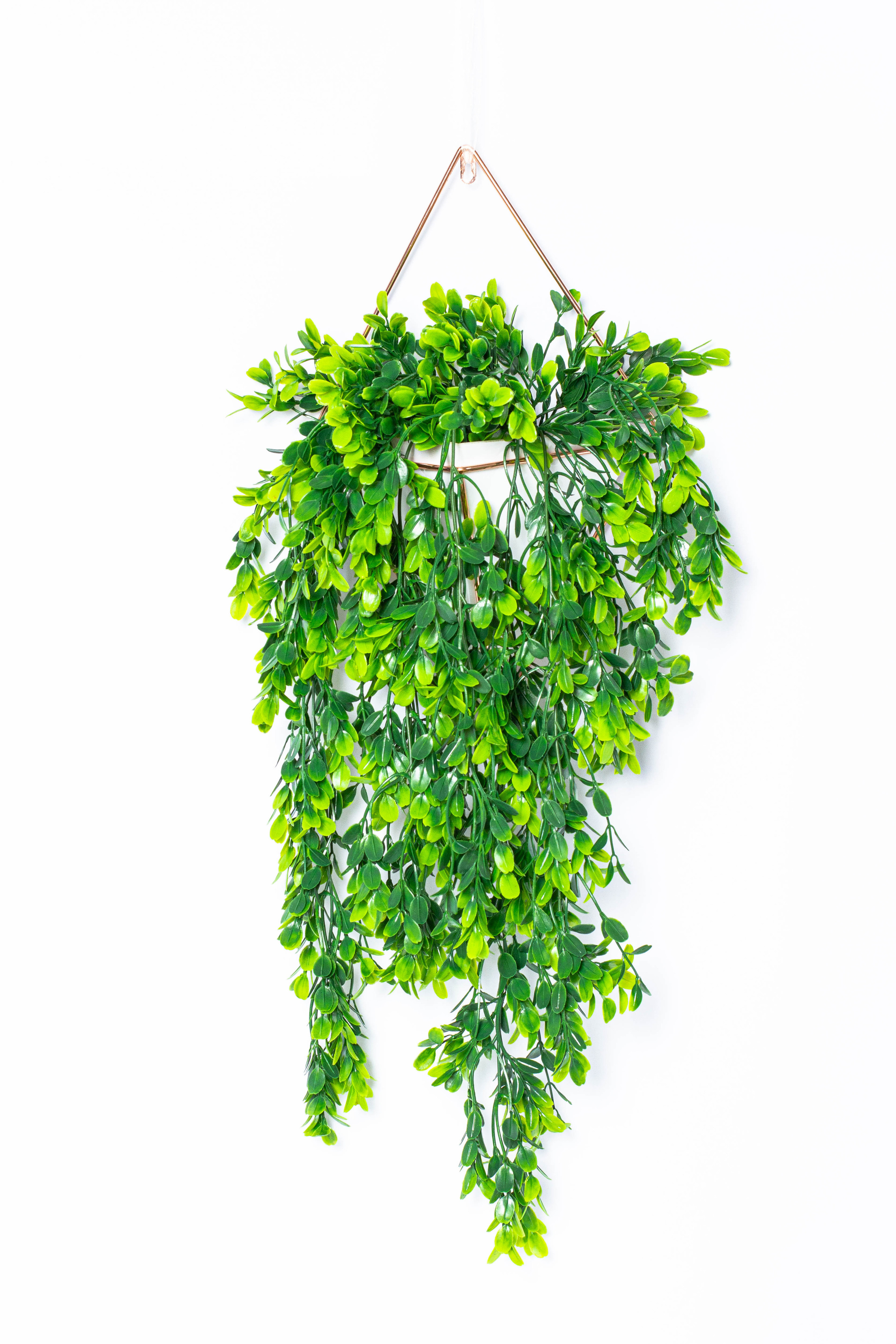 Растения и сад. Фотограф Челябинск Эвелина Ганага, съемка для бизнеса и маркетплейсов