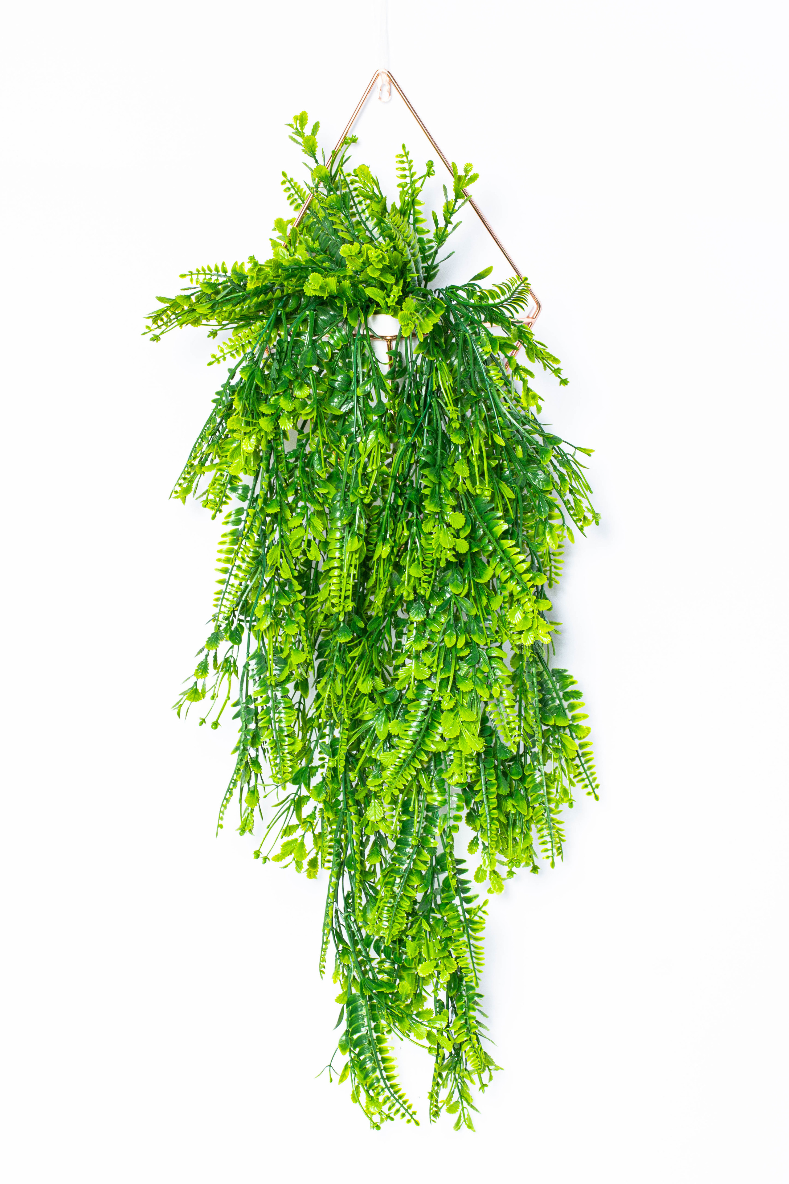 Растения и сад. Фотограф Челябинск Эвелина Ганага, съемка для бизнеса и маркетплейсов