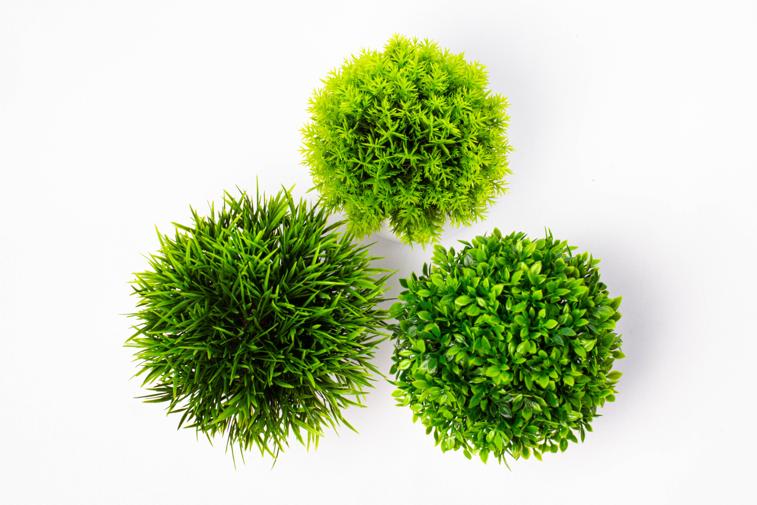 Растения и сад. Фотограф Челябинск Эвелина Ганага, съемка для бизнеса и маркетплейсов