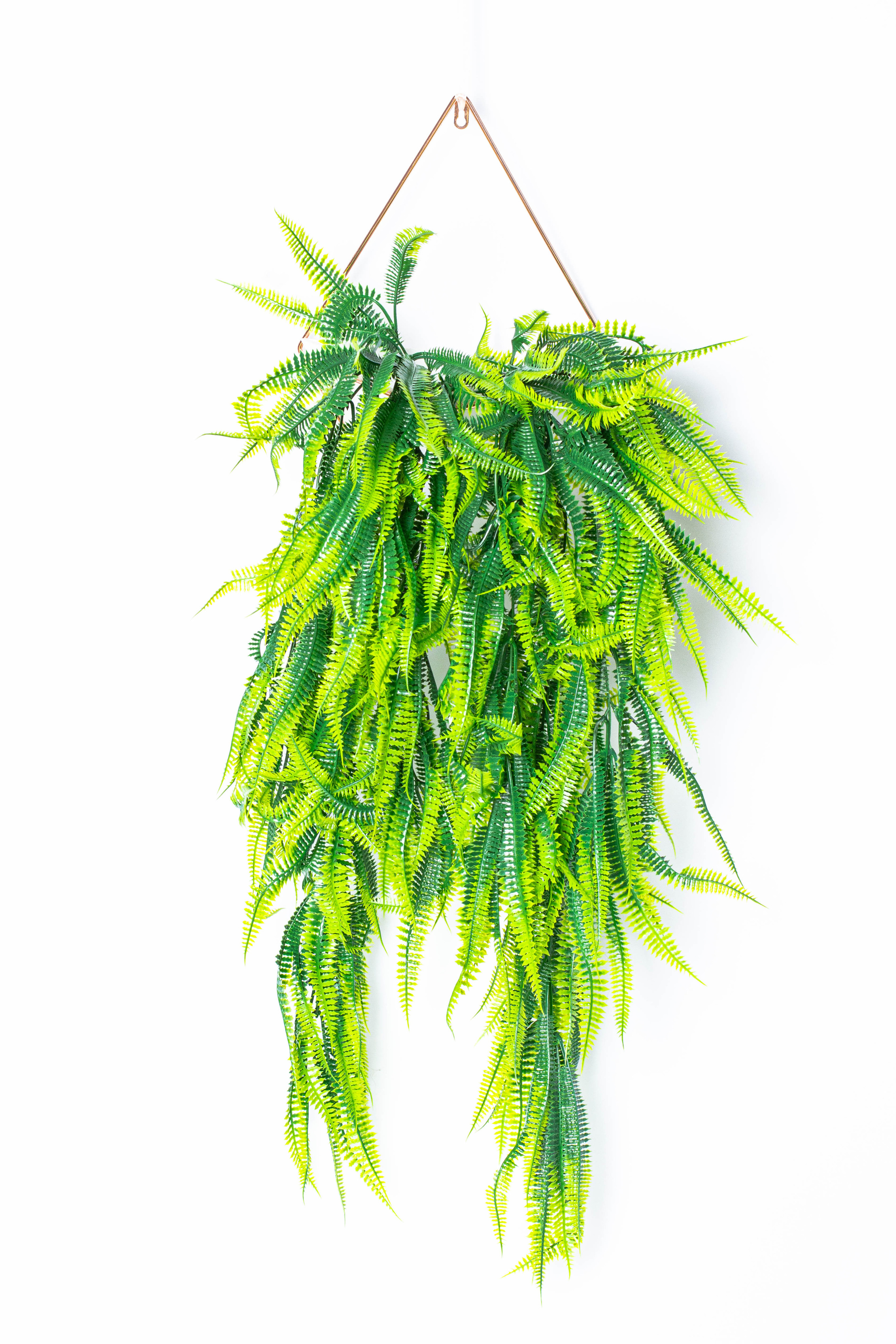 Растения и сад. Фотограф Челябинск Эвелина Ганага, съемка для бизнеса и маркетплейсов