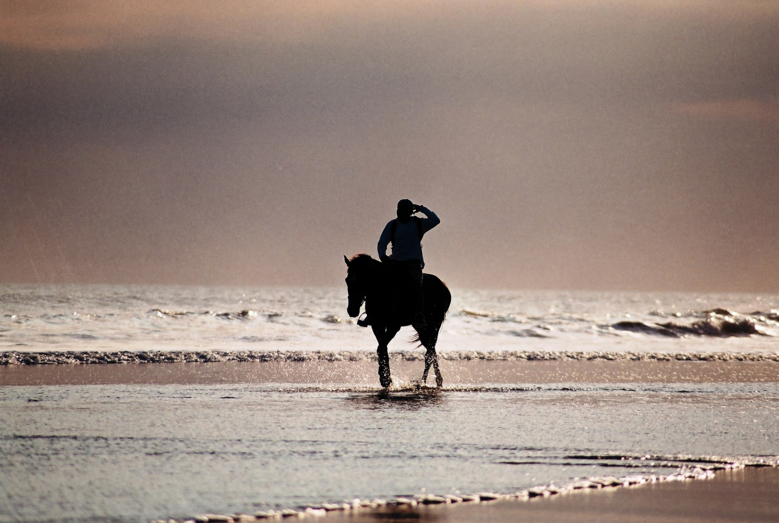 Решающий момент — авторская фотография Ма. Ма