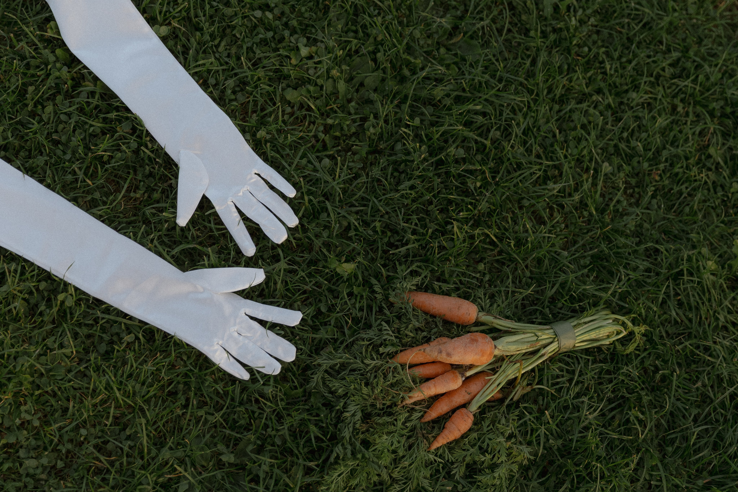 Wedding day Неш и Татьяна. Свадебный фотограф Колесников Антон