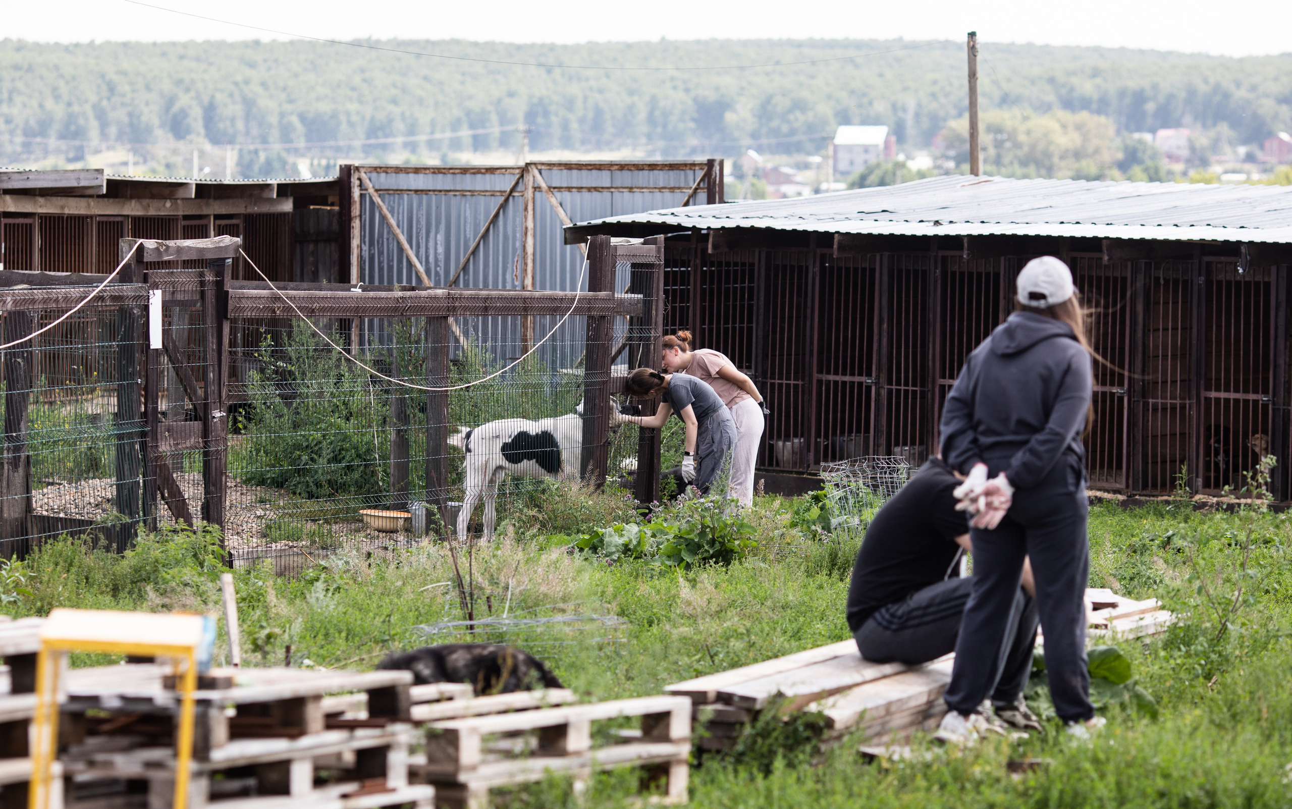 Приют — Наш дом. Репортажный и свадебный фотограф в Челябинске Елисеев Павел