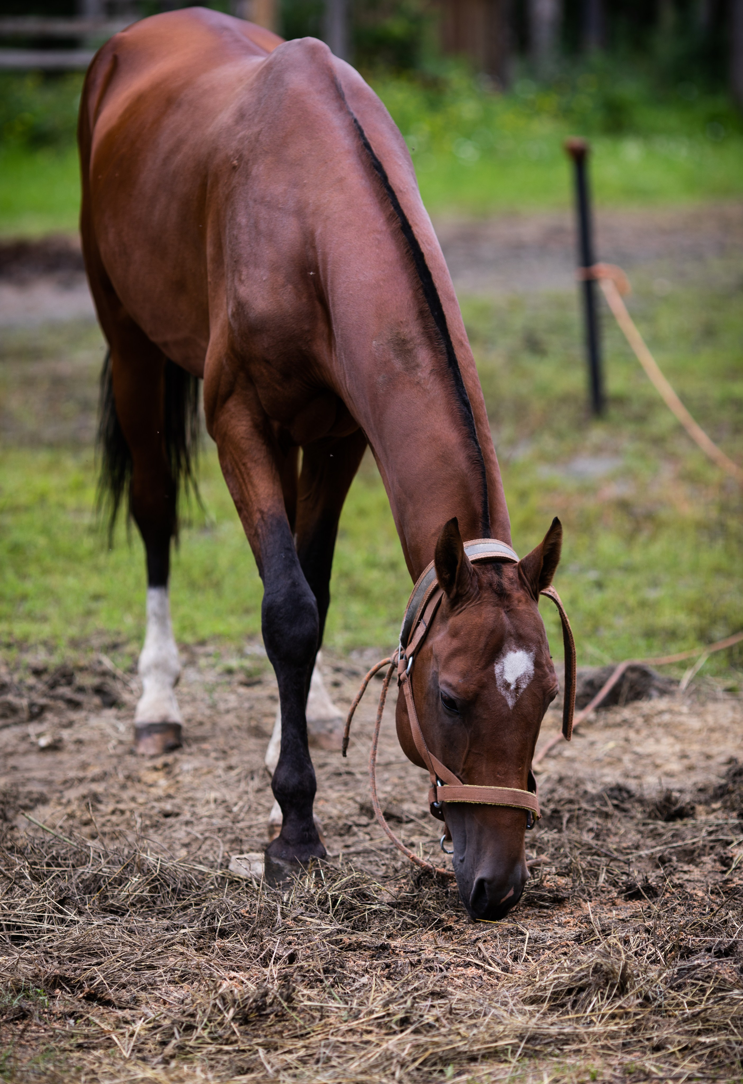 Корпоративный тимбилдинг — «Монтажный горизонт». Репортажный и свадебный фотограф в Челябинске Елисеев Павел