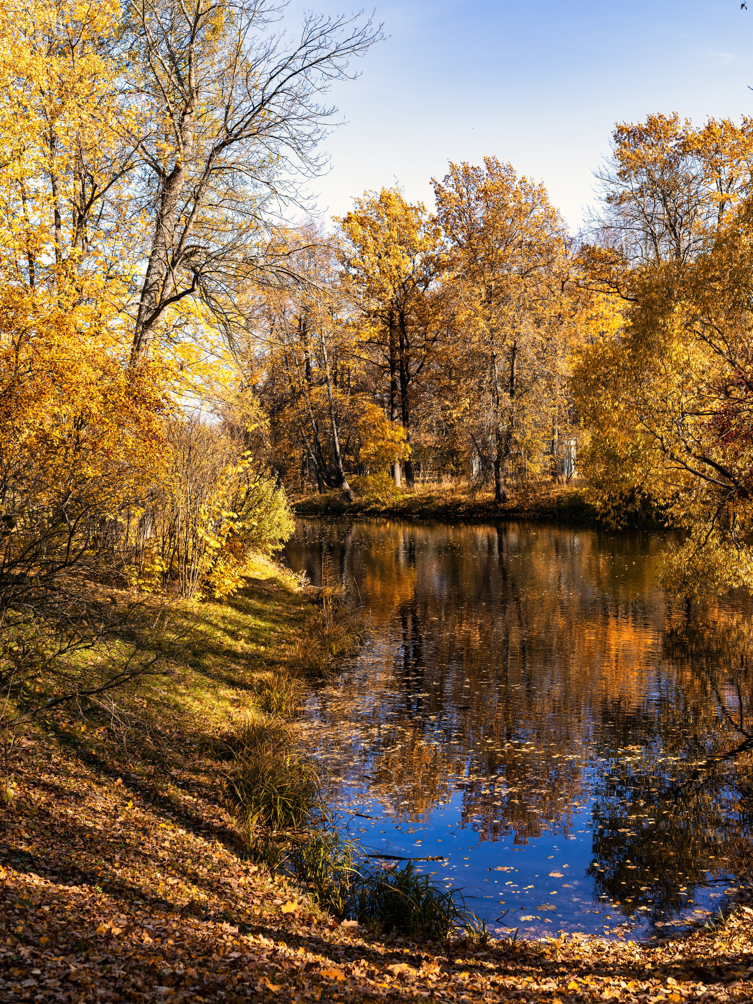 Царское село. Пейзажный и семейный фотограф в Санкт-Петербурге Александр Белов