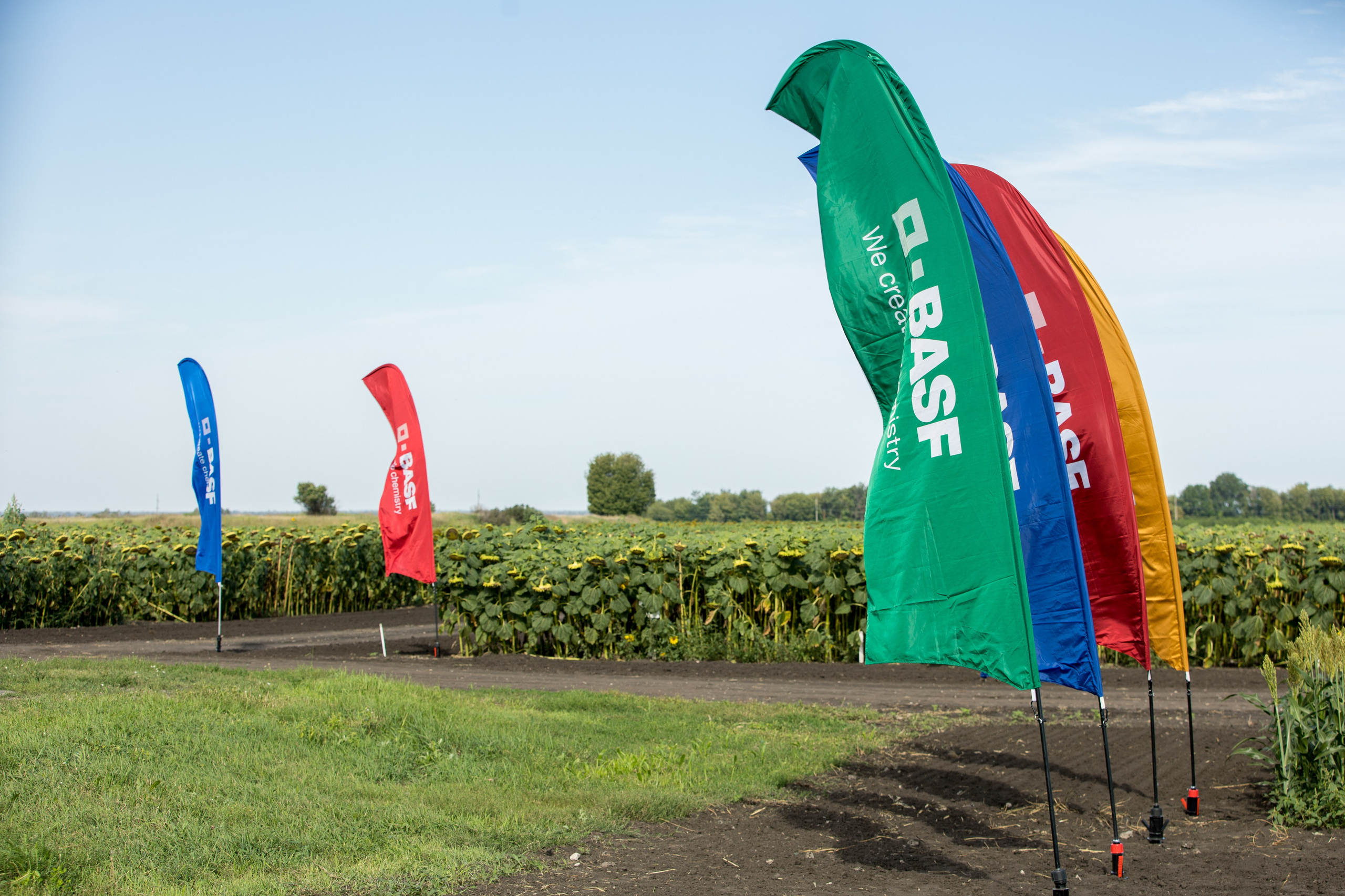 Решения для сельского хозяйства BASF 16.08.2022. Владислав Волков | Фотография и видеосъемка в Воронеже