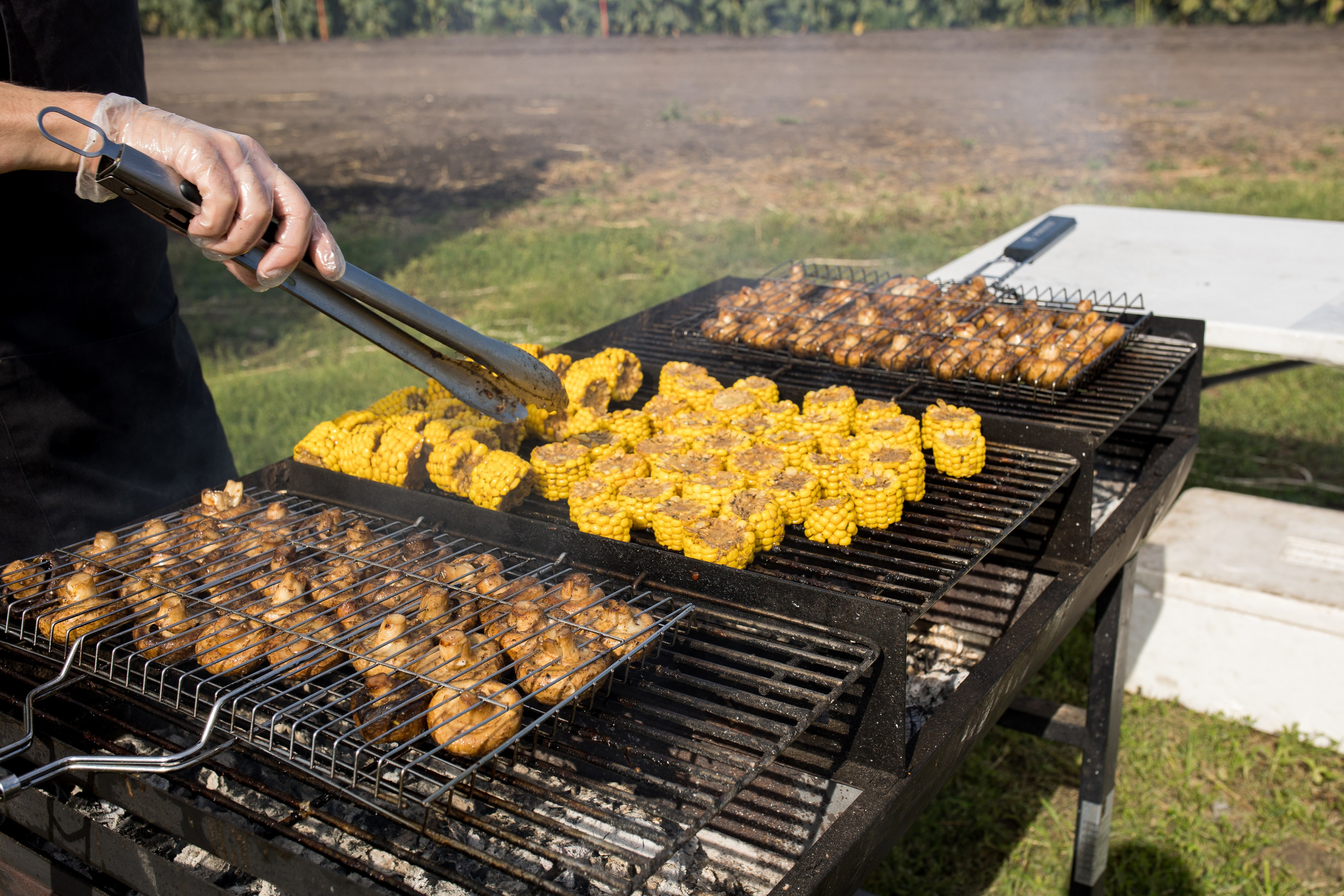 Решения для сельского хозяйства BASF 16.08.2022. Владислав Волков | Фотография и видеосъемка в Воронеже