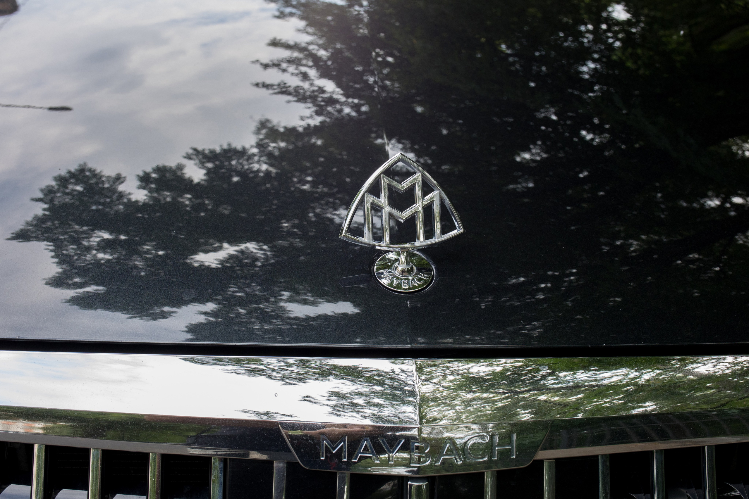 Лилия и Ярослав. Владислав Волков | Фотография и видеосъемка в Воронеже