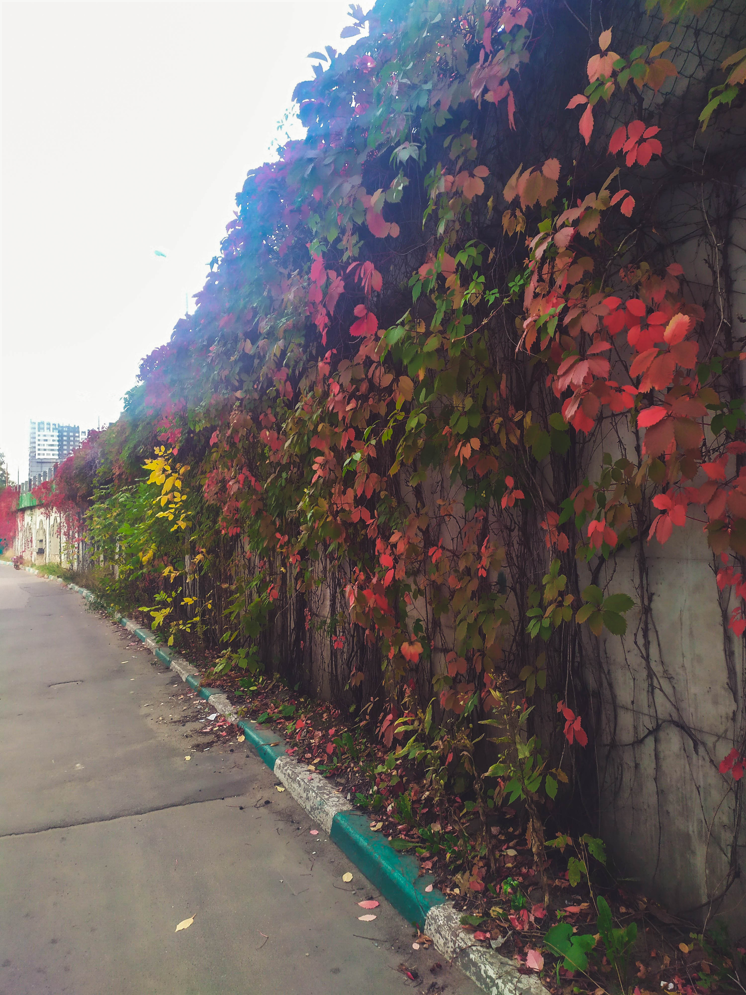 Фотограф Татьяна Марсуверских г. Жуковский, Москва и Мо. Репортажные съёмки, фотосессии, корпоративы, эмоциональный портрет, фуд фотограф. Фотограф для маркетплейсов, фотоуслуги в Жуковском Татьяна Марсуверских