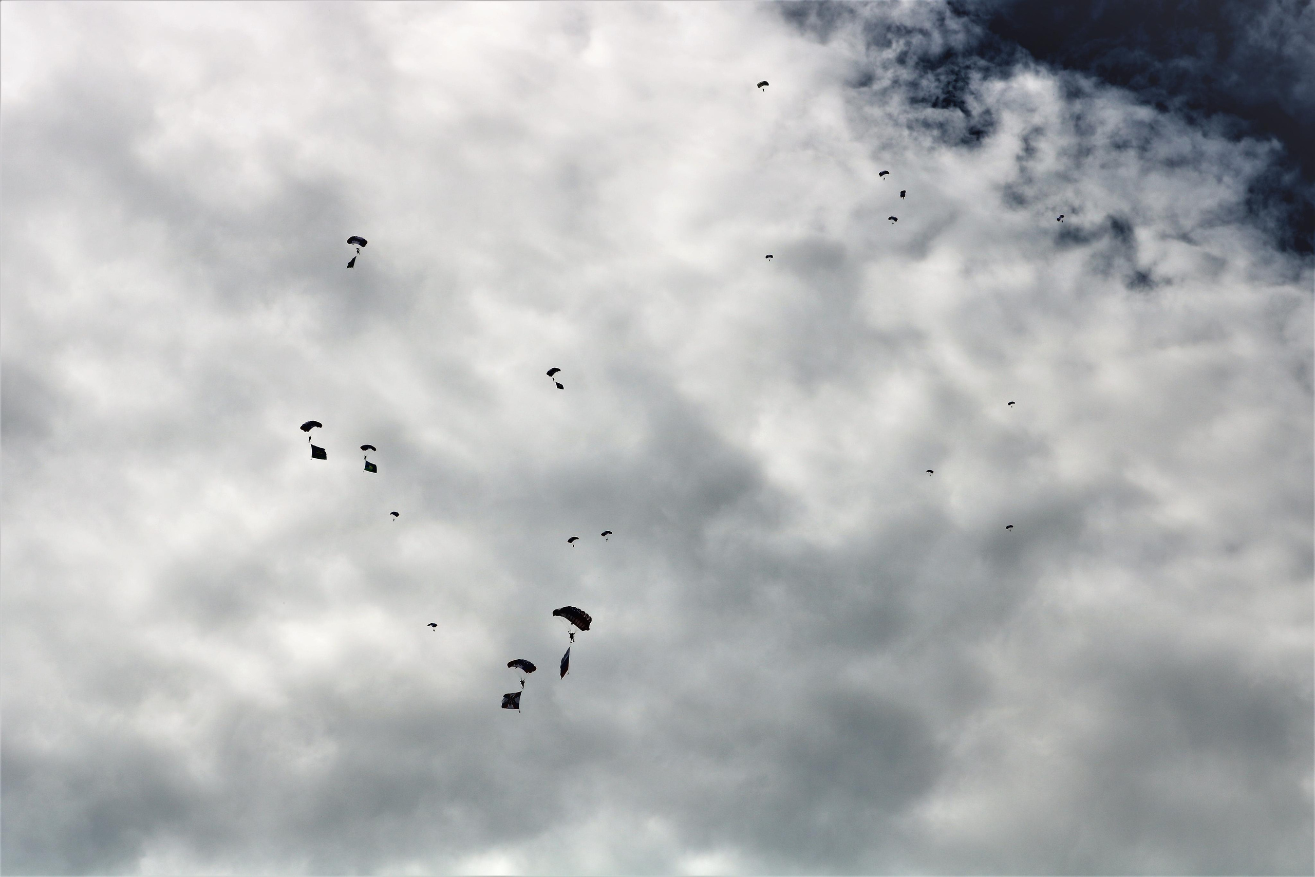 Фотограф Татьяна Марсуверских г. Жуковский, Москва. Репортажные съёмки, фотосессии, фотограф анималист, артфотограф, фотограф пейзажист. Фотограф для маркетплейсов, фотоуслуги в Жуковском Татьяна Марсуверских