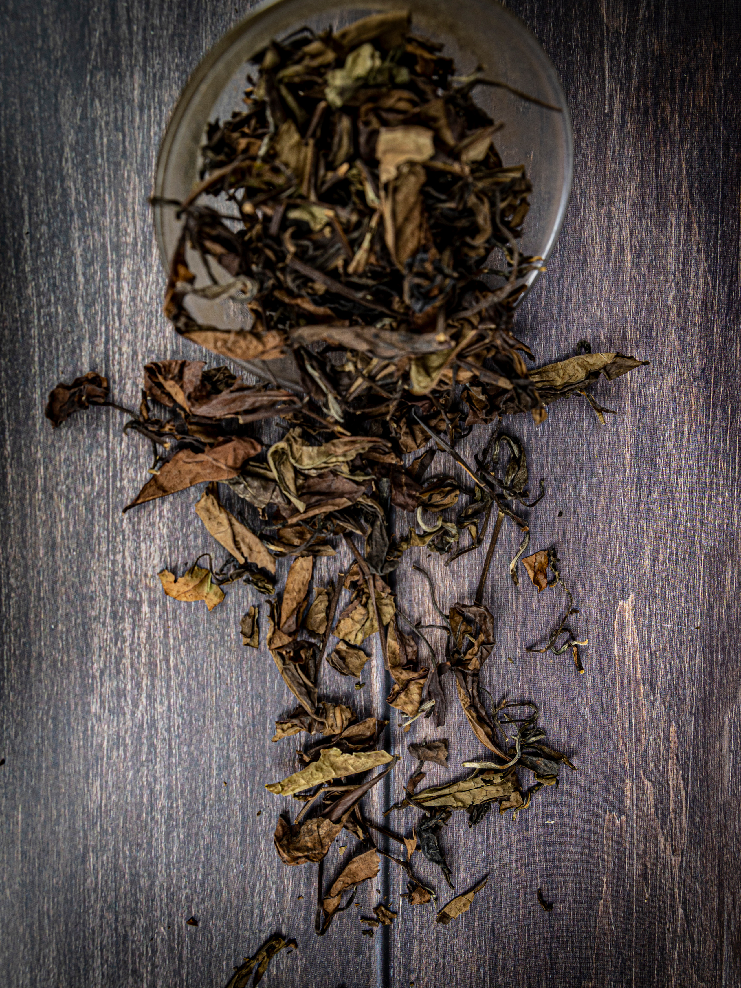 Фотограф Татьяна Марсуверских г. Жуковский, Москва и Мо. Репортажные съёмки, фотосессии, корпоративы, эмоциональный портрет, фуд фотограф. Фотограф для маркетплейсов, фотоуслуги в Жуковском Татьяна Марсуверских