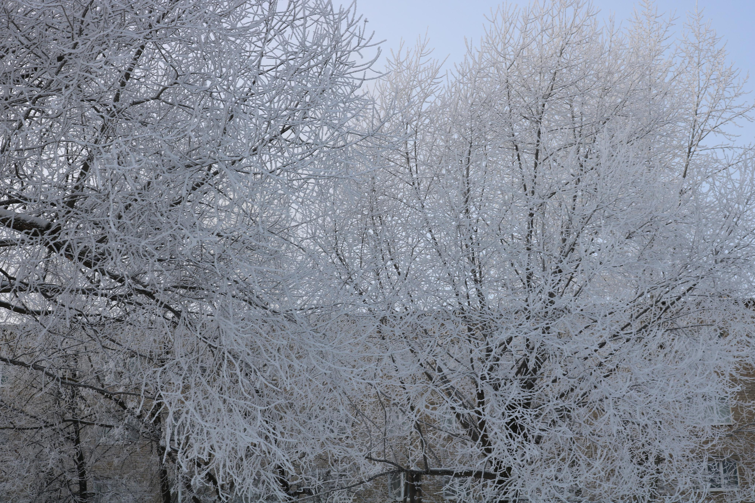 Фотограф Татьяна Марсуверских г. Жуковский, Москва. Репортажные съёмки, фотосессии, фотограф анималист, артфотограф, фотограф пейзажист. Фотограф для маркетплейсов, фотоуслуги в Жуковском Татьяна Марсуверских