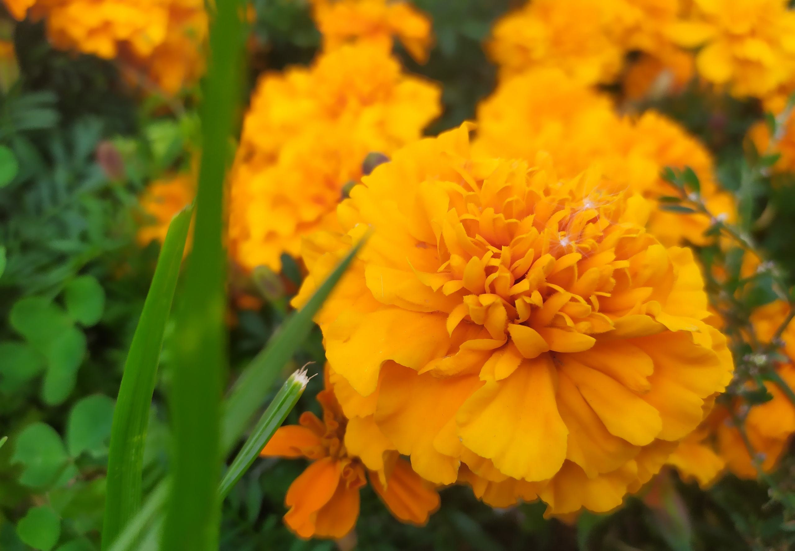 Фотограф Татьяна Марсуверских г. Жуковский, Москва. Репортажные съёмки, фотосессии, фотограф анималист, артфотограф, фотограф пейзажист. Фотограф для маркетплейсов, фотоуслуги в Жуковском Татьяна Марсуверских