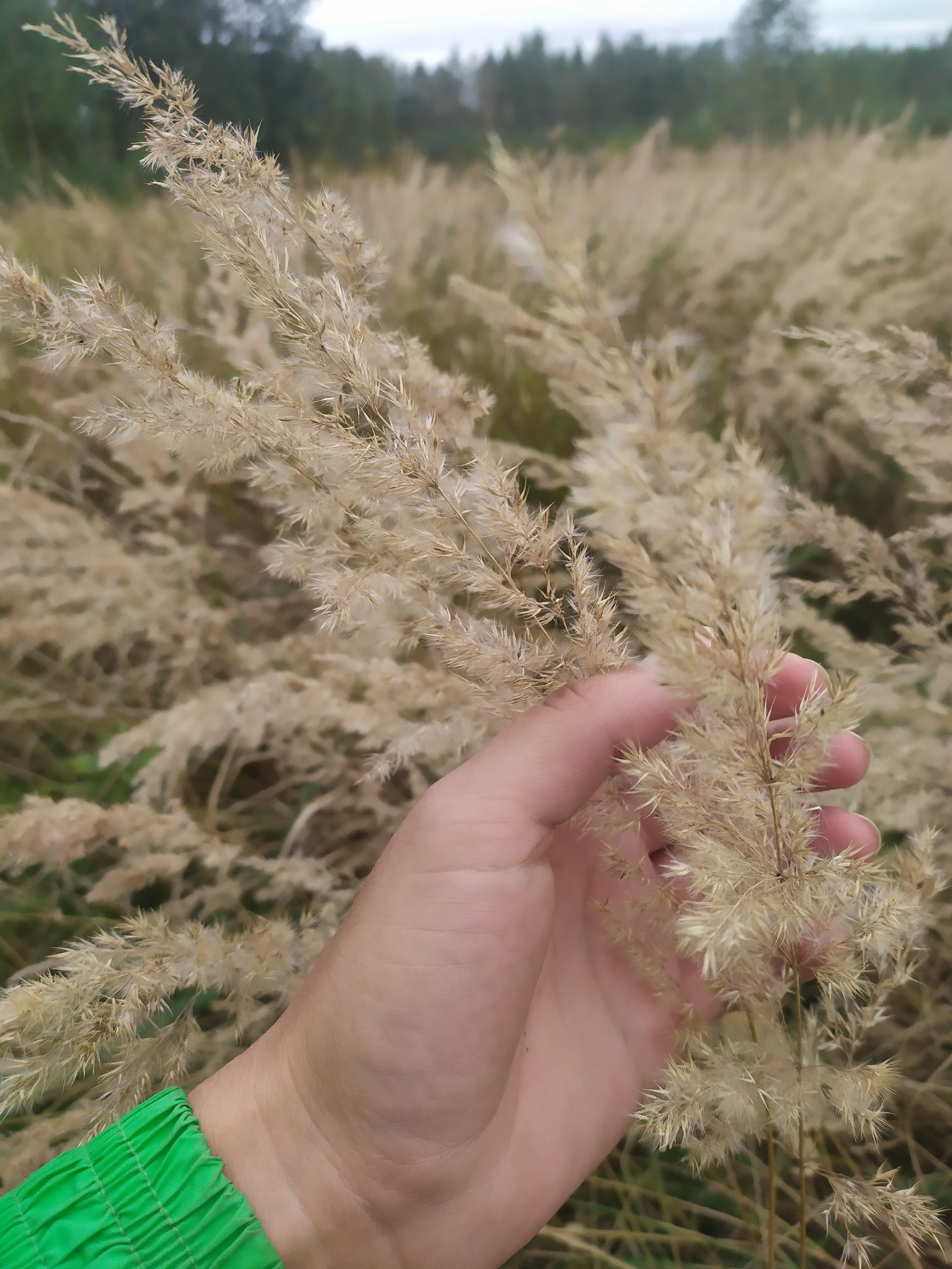 Фотограф Татьяна Марсуверских г. Жуковский, Москва. Репортажные съёмки, фотосессии, фотограф анималист, артфотограф, фотограф пейзажист. Фотограф для маркетплейсов, фотоуслуги в Жуковском Татьяна Марсуверских