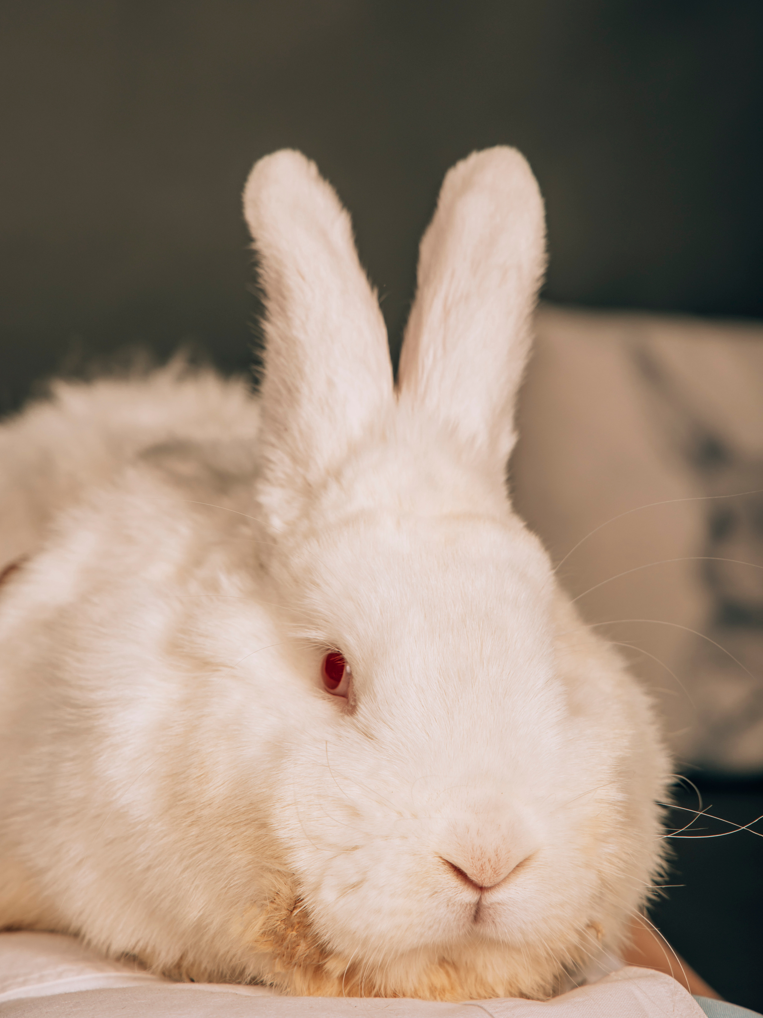 Фотограф Татьяна Марсуверских г. Жуковский, Москва. Репортаж, арт фотограф, пейзажист, реставрация фотографий, фотосувениры,реквизит. Фотограф для маркетплейсов, фотоуслуги в Жуковском Татьяна Марсуверских