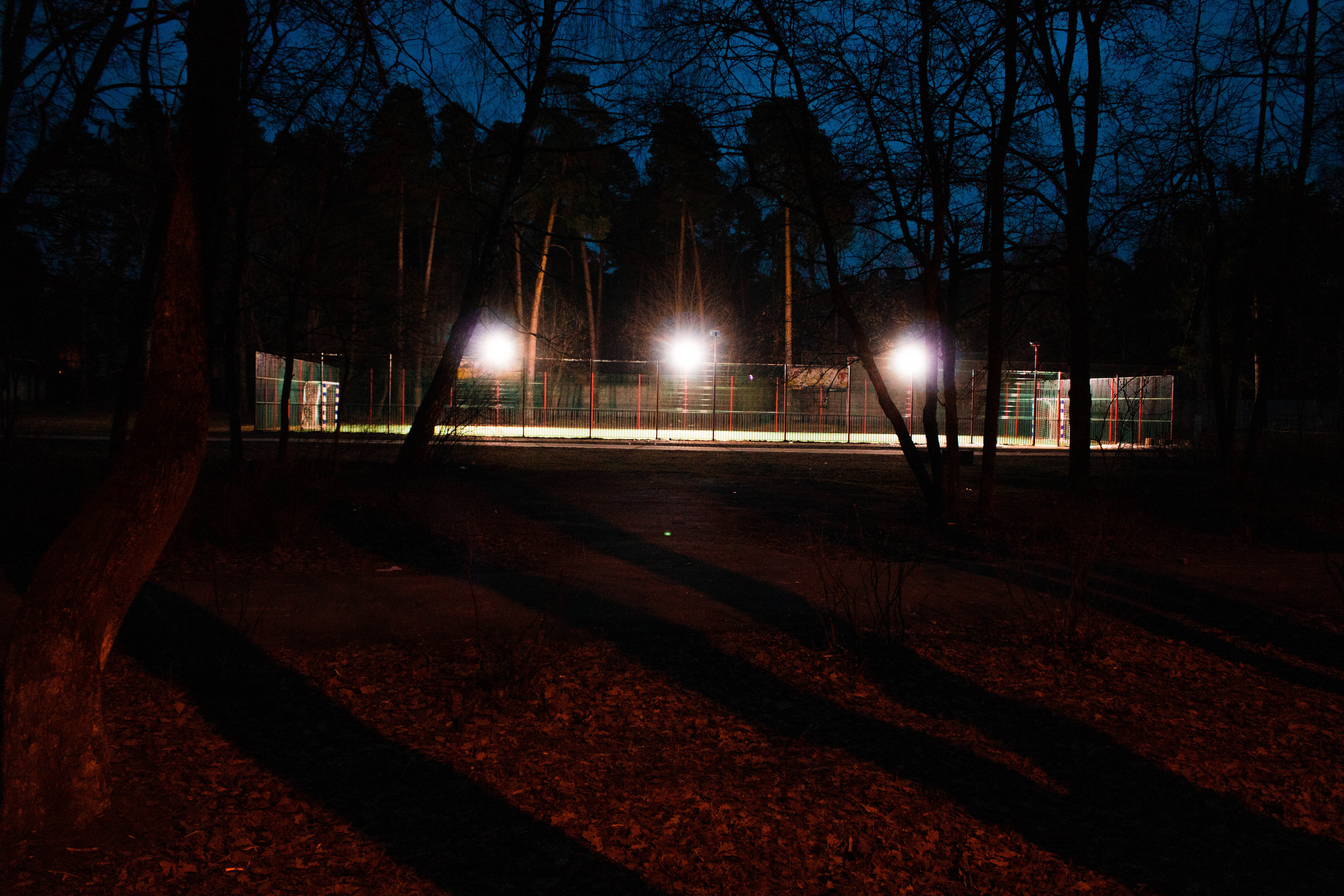 Фотограф Татьяна Марсуверских г. Жуковский, Москва. Репортажные съёмки, фотосессии, фотограф анималист, артфотограф, фотограф пейзажист. Фотограф для маркетплейсов, фотоуслуги в Жуковском Татьяна Марсуверских