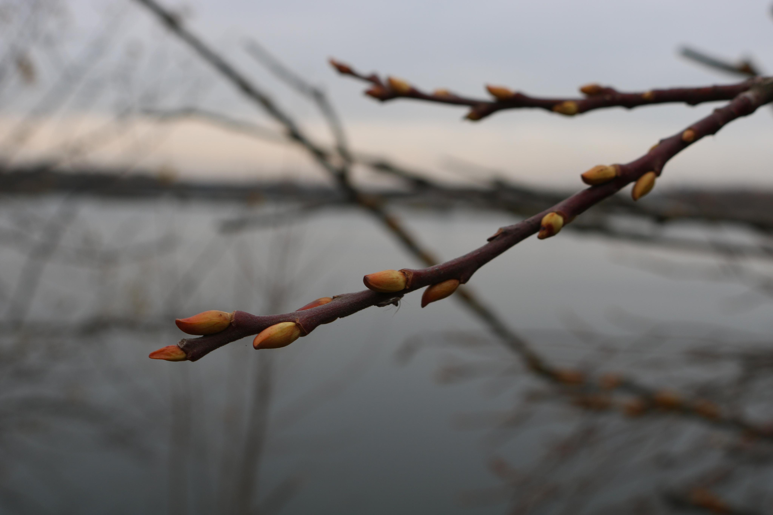 Фотограф Татьяна Марсуверских г. Жуковский, Москва. Репортажные съёмки, фотосессии, фотограф анималист, артфотограф, фотограф пейзажист. Фотограф для маркетплейсов, фотоуслуги в Жуковском Татьяна Марсуверских