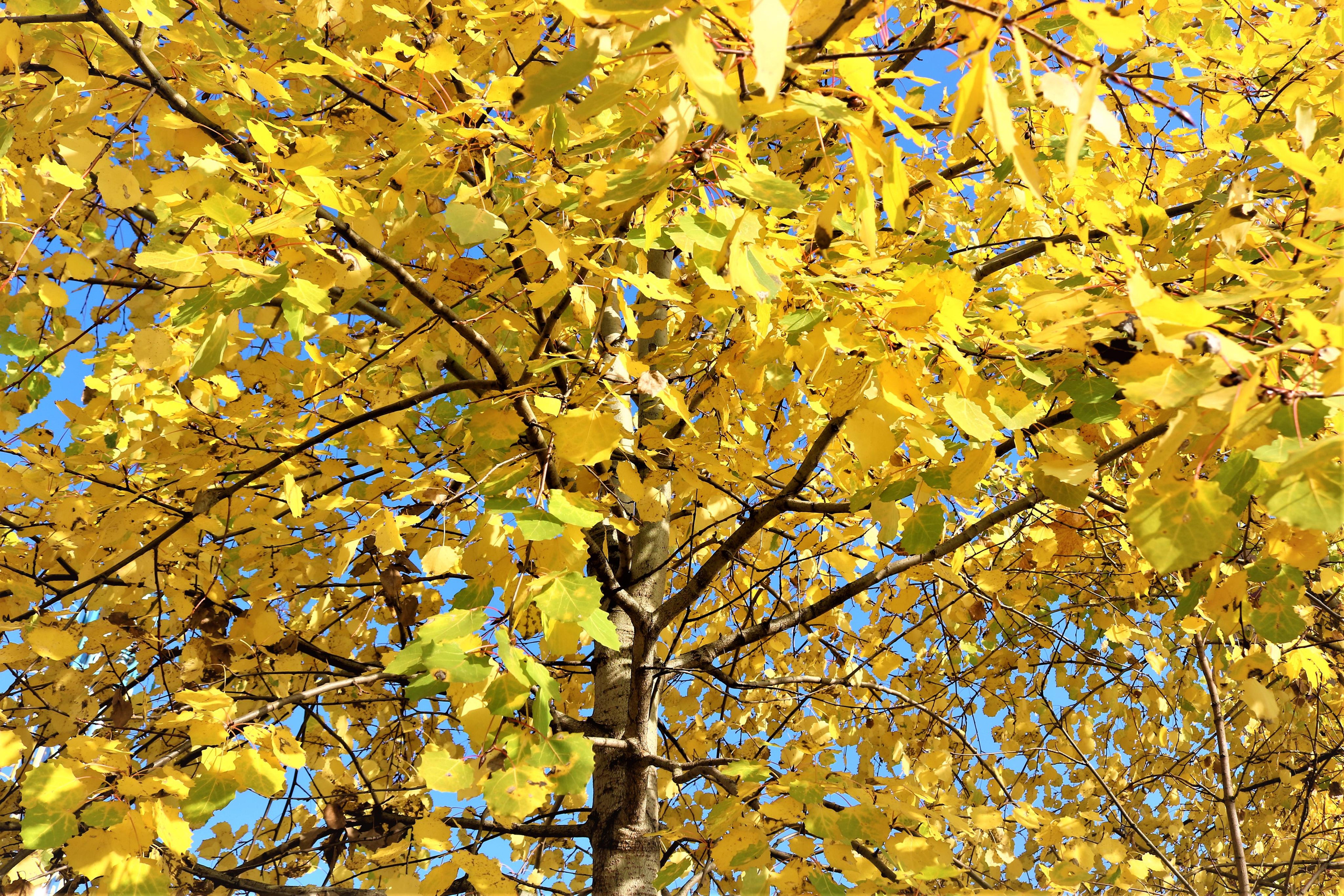 Фотограф Татьяна Марсуверских г. Жуковский, Москва. Репортажные съёмки, фотосессии, фотограф анималист, артфотограф, фотограф пейзажист. Фотограф для маркетплейсов, фотоуслуги в Жуковском Татьяна Марсуверских