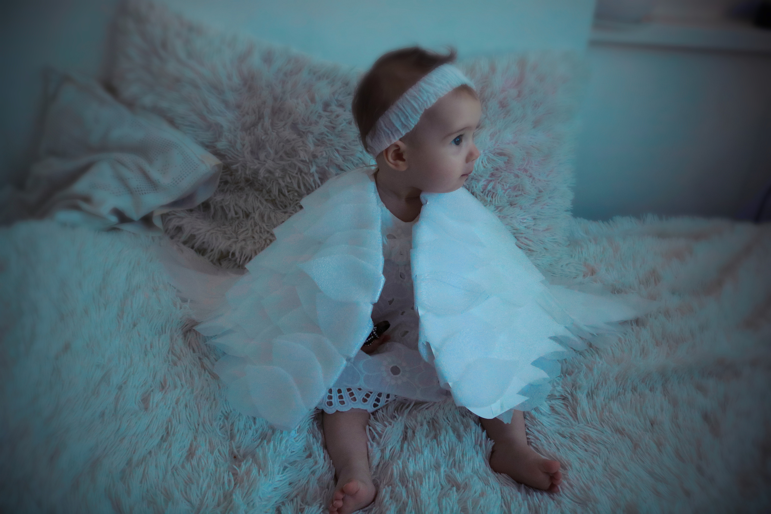 Фотограф Татьяна Марсуверских г. Жуковский, Москва и Мо. Репортажные съёмки, фотосессии,  фотограф анималист, фотосъёмка животных. Фотограф для маркетплейсов, фотоуслуги в Жуковском Татьяна Марсуверских