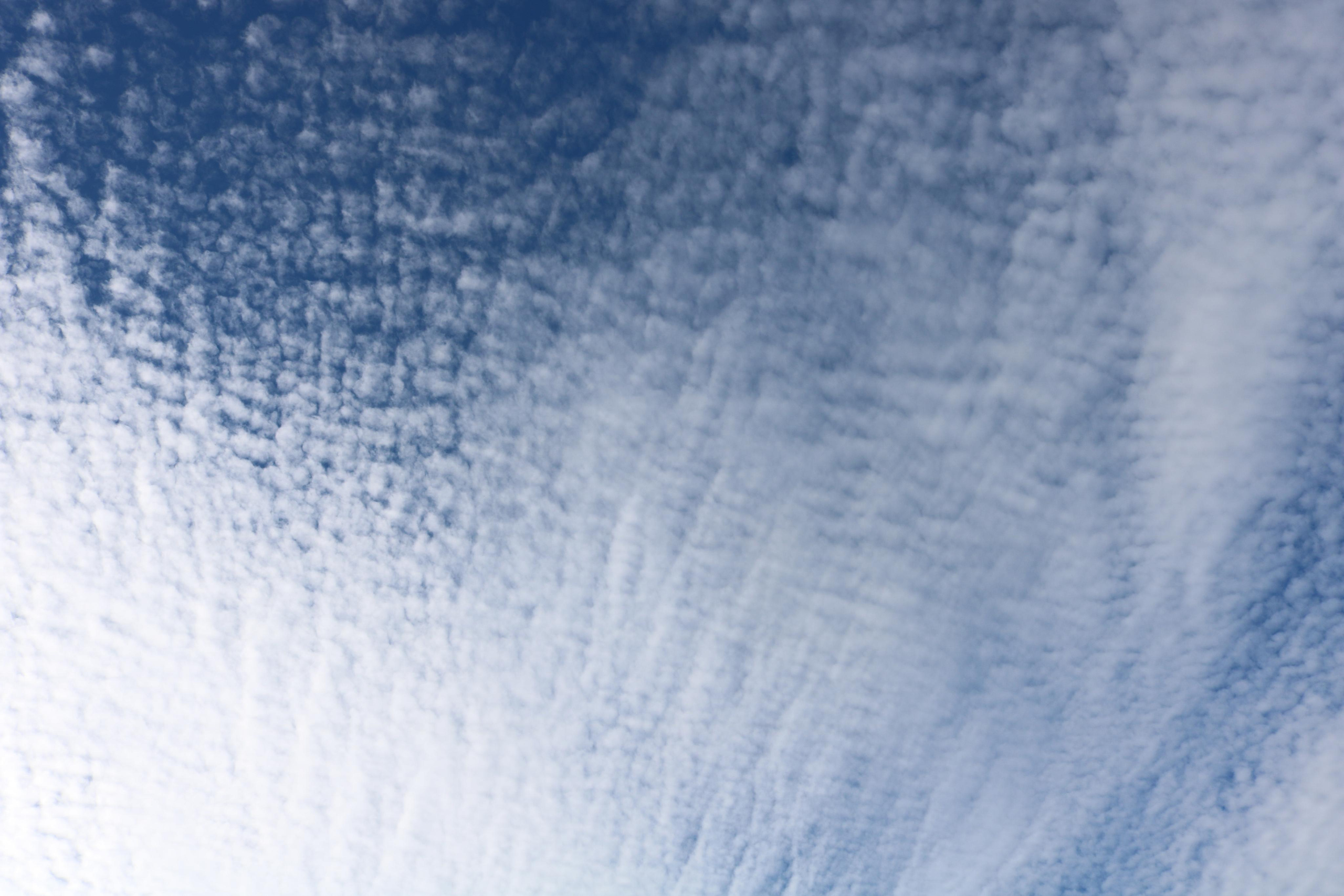 Фотограф Татьяна Марсуверских г. Жуковский, Москва. Репортажные съёмки, фотосессии, фотограф анималист, артфотограф, фотограф пейзажист. Фотограф для маркетплейсов, фотоуслуги в Жуковском Татьяна Марсуверских