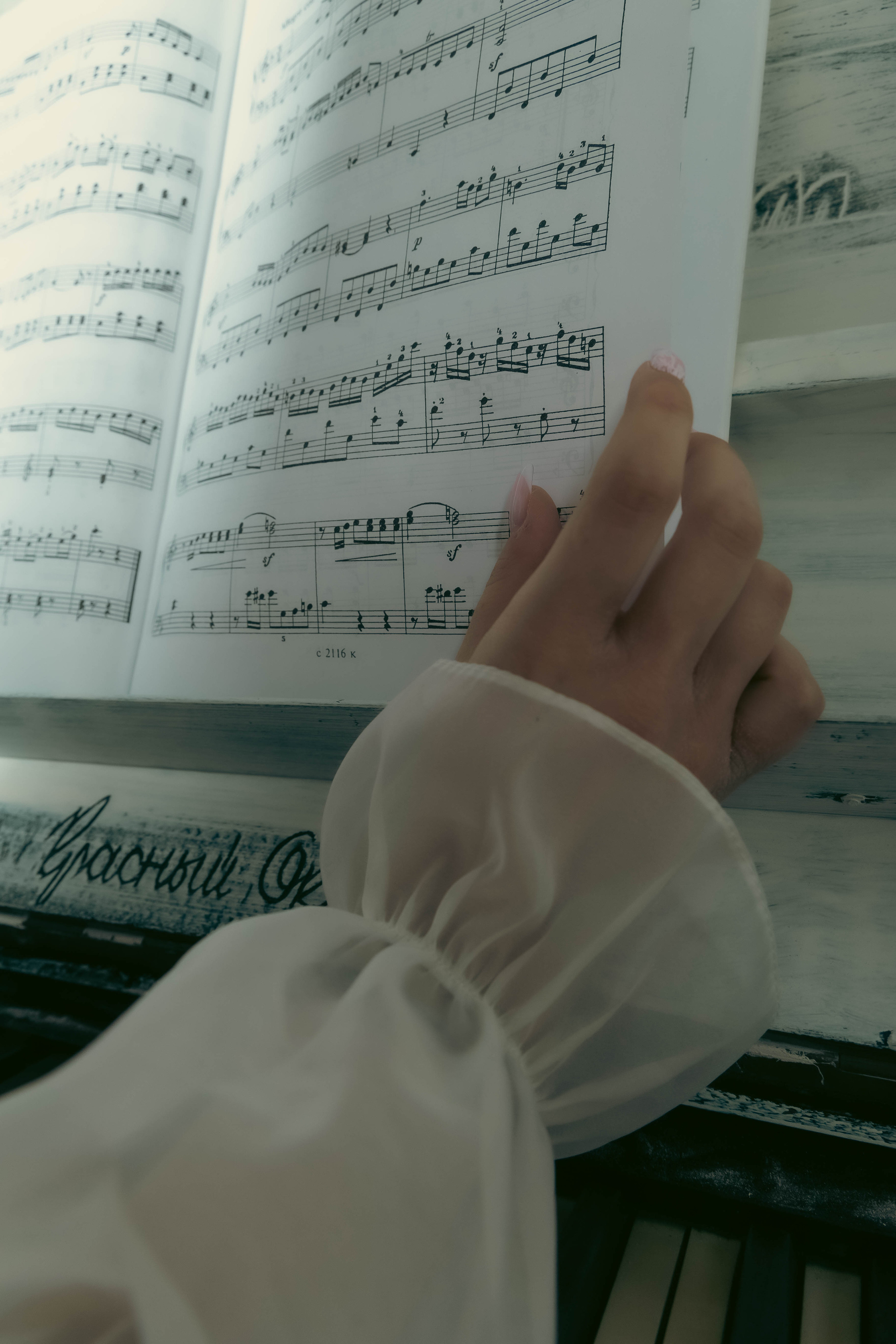 Фотограф Татьяна Марсуверских г. Жуковский, Москва. Ню, репортажные съёмки, фотосессии, фотограф анималист, фотосъёмка косплея, артфотограф. Фотограф для маркетплейсов, фотоуслуги в Жуковском Татьяна Марсуверских