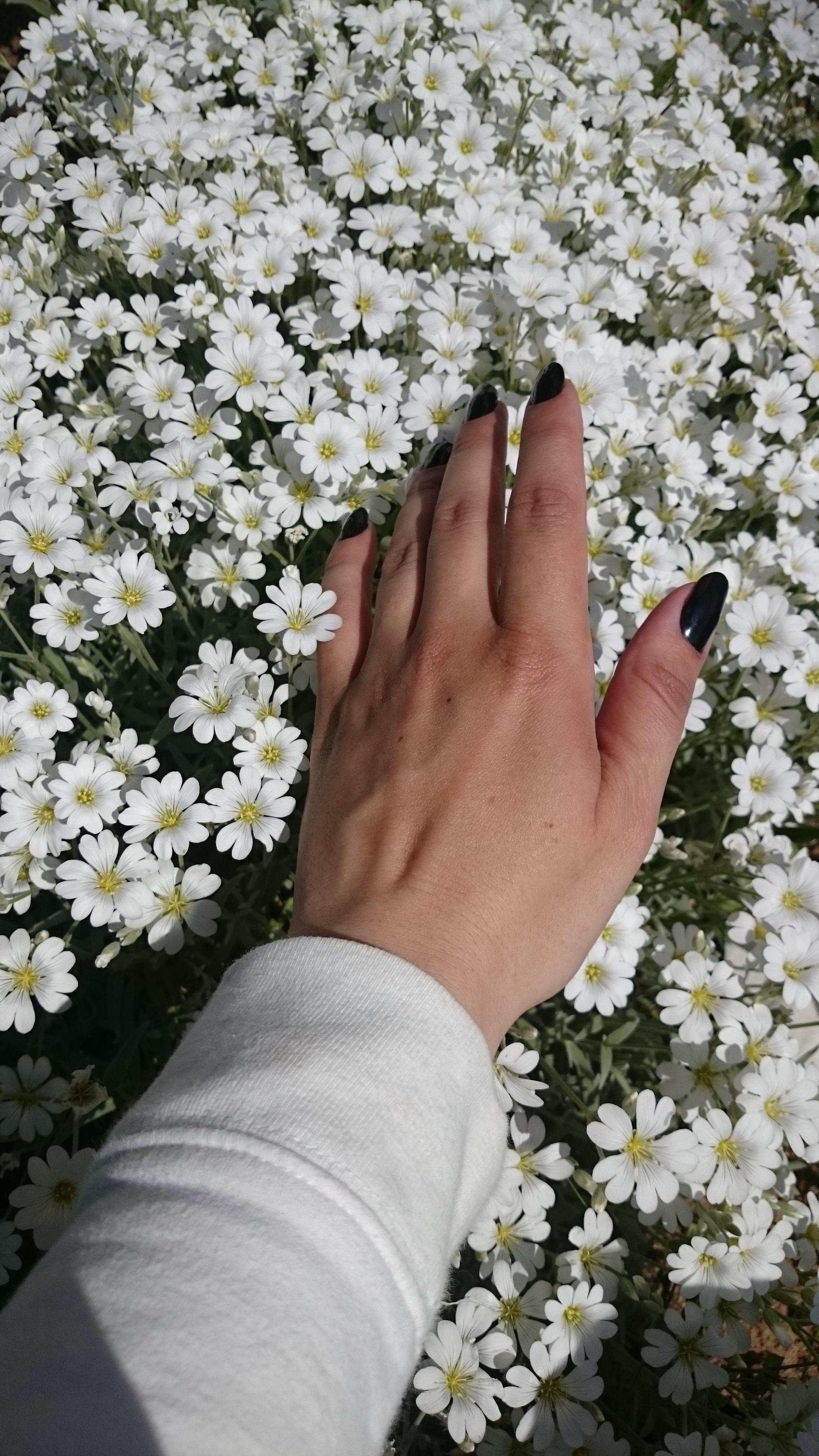 Фотограф Татьяна Марсуверских г. Жуковский, Москва. Репортажные съёмки, фотосессии, фотограф анималист, артфотограф, фотограф пейзажист. Фотограф для маркетплейсов, фотоуслуги в Жуковском Татьяна Марсуверских