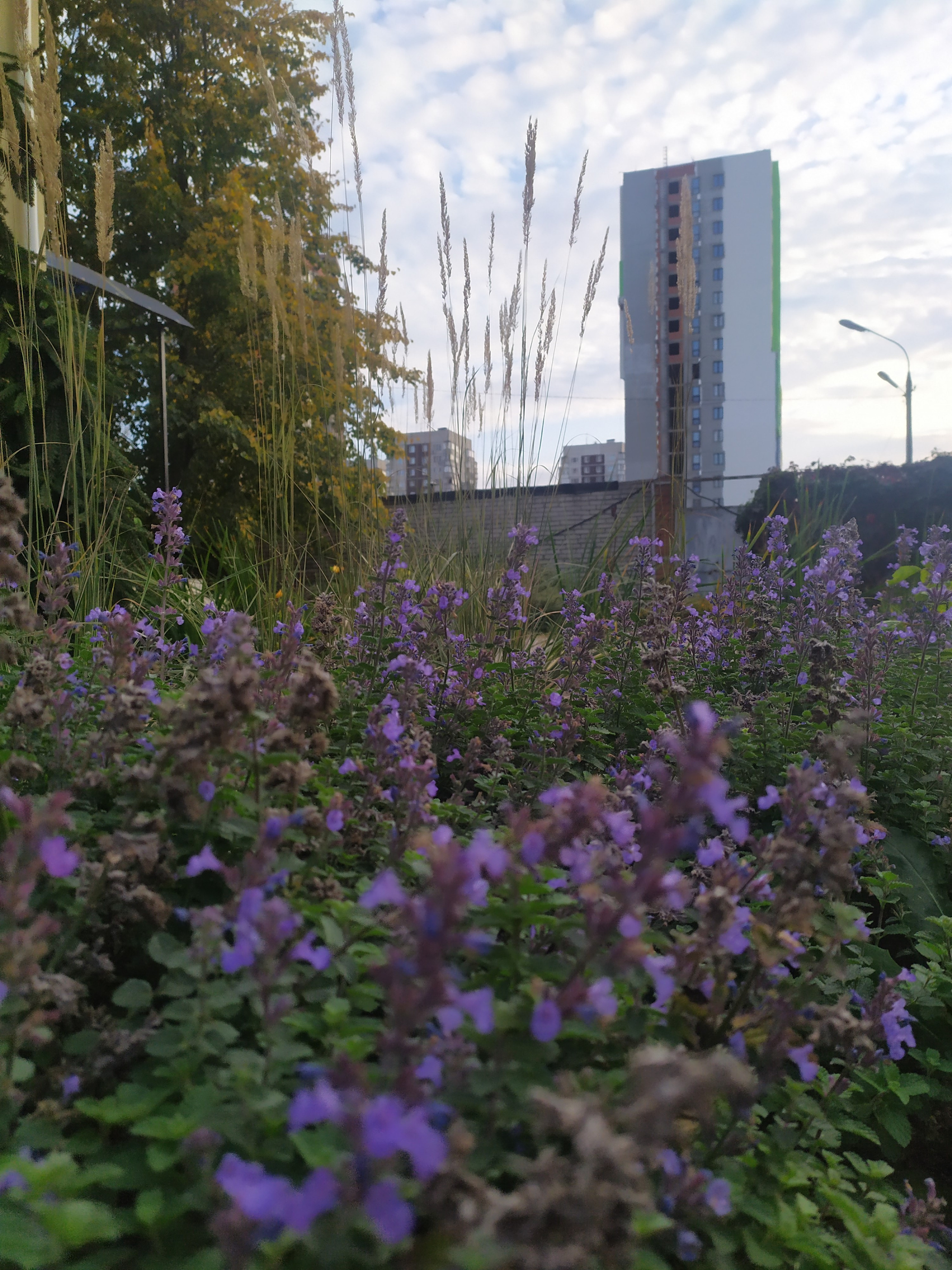 Фотограф Татьяна Марсуверских г. Жуковский, Москва. Репортажные съёмки, фотосессии, фотограф анималист, артфотограф, фотограф пейзажист. Фотограф для маркетплейсов, фотоуслуги в Жуковском Татьяна Марсуверских