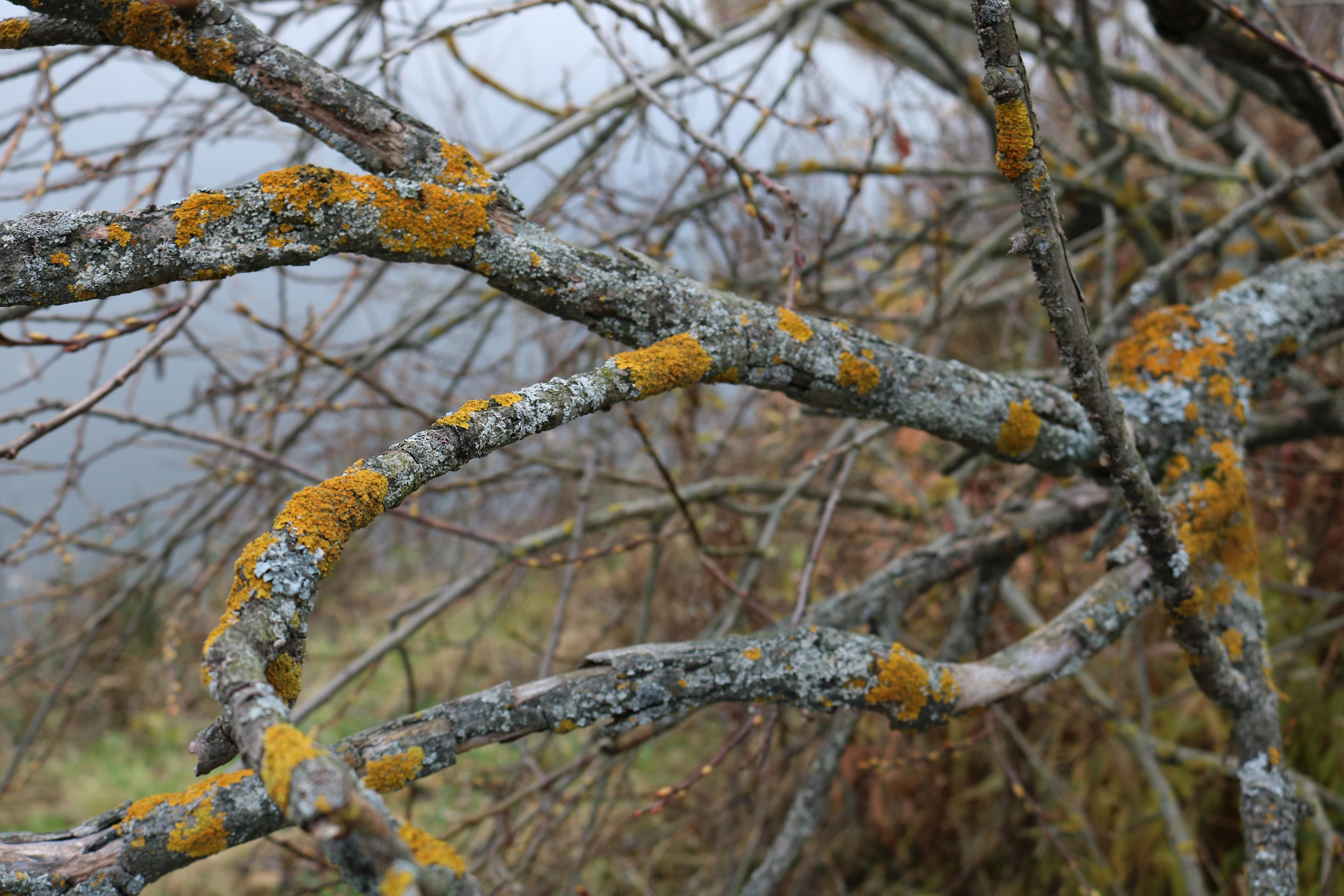 Фотограф Татьяна Марсуверских г. Жуковский, Москва. Репортажные съёмки, фотосессии, фотограф анималист, артфотограф, фотограф пейзажист. Фотограф для маркетплейсов, фотоуслуги в Жуковском Татьяна Марсуверских